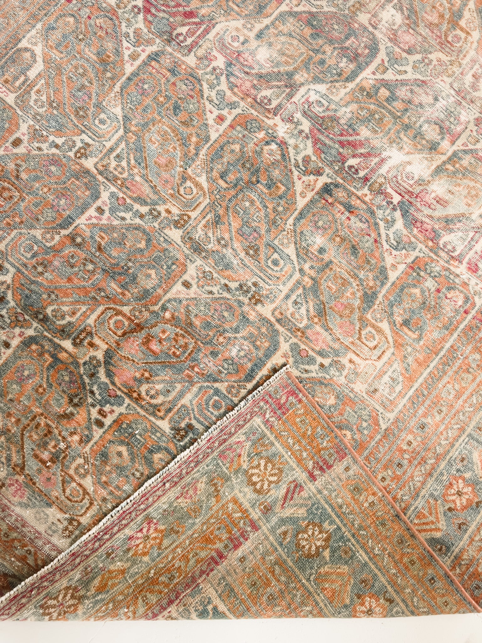 Paisley 4'8 x 6'2