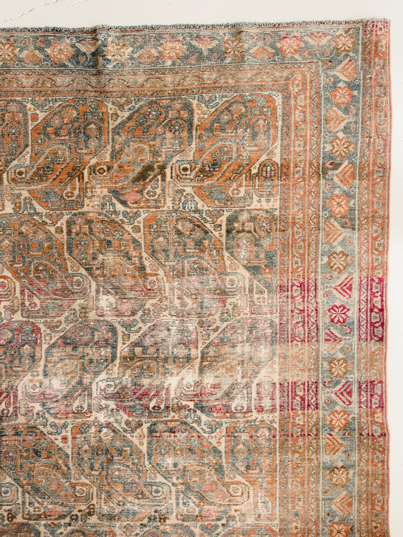 Paisley 4'8 x 6'2