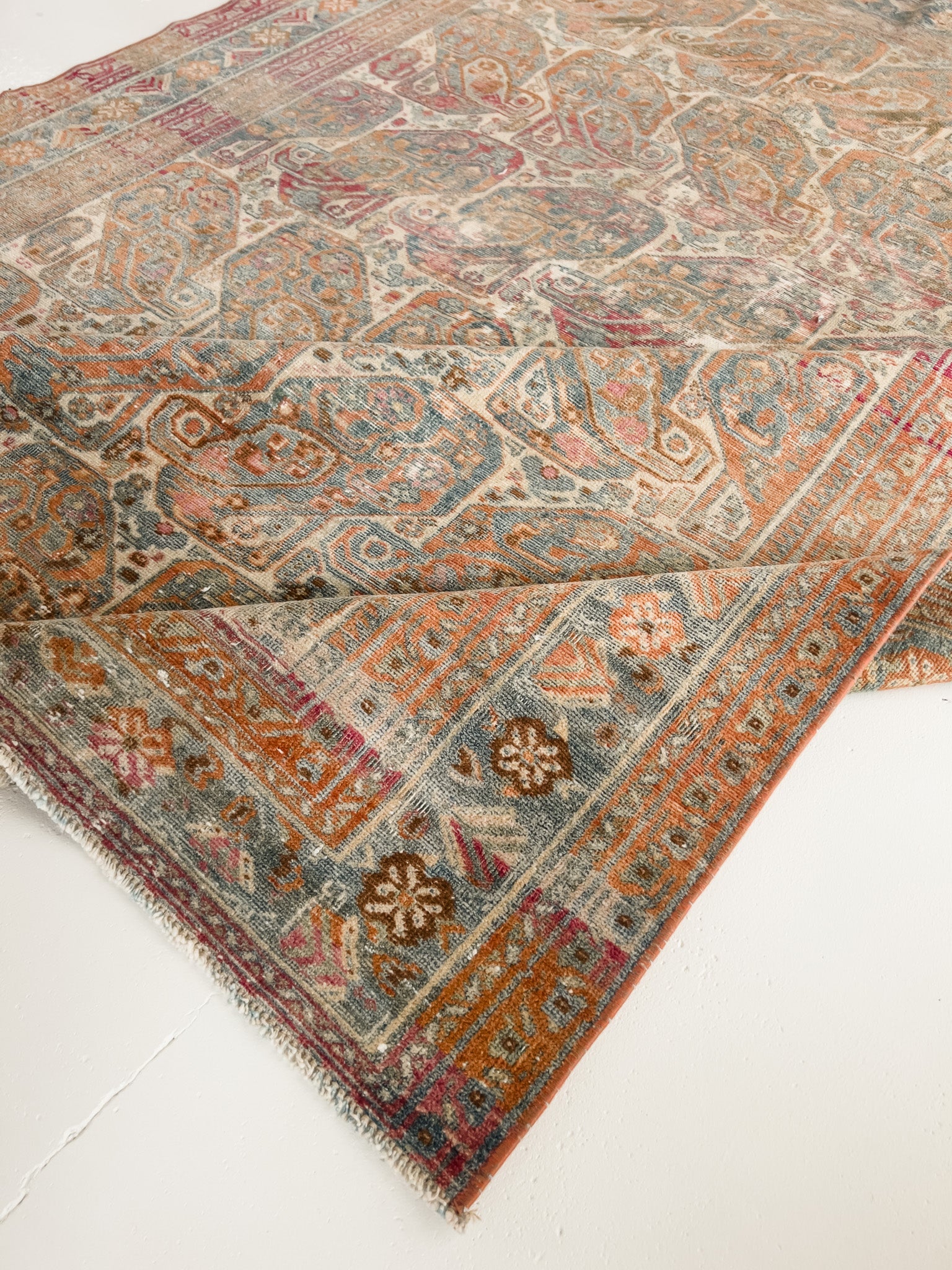 Paisley 4'8 x 6'2