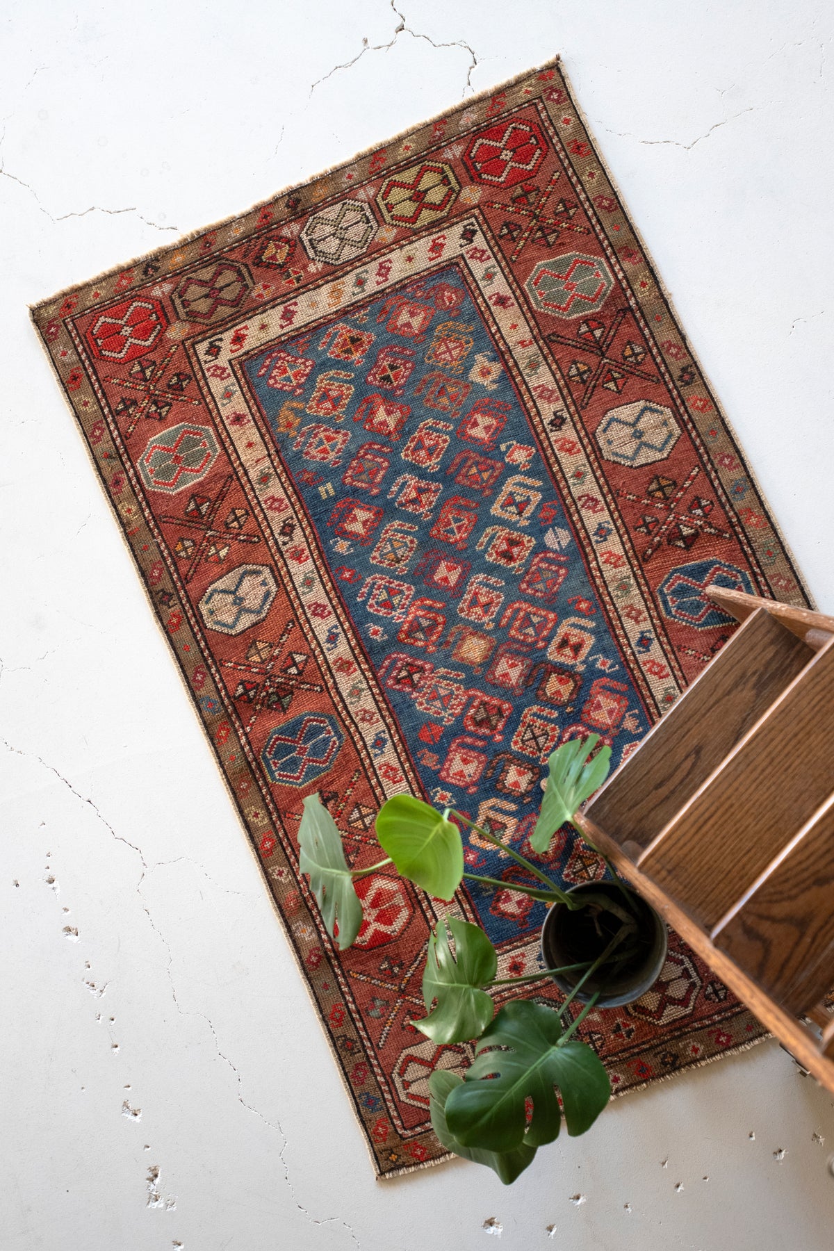 3'4 x 5'3 | Estate Sale Find No. 11