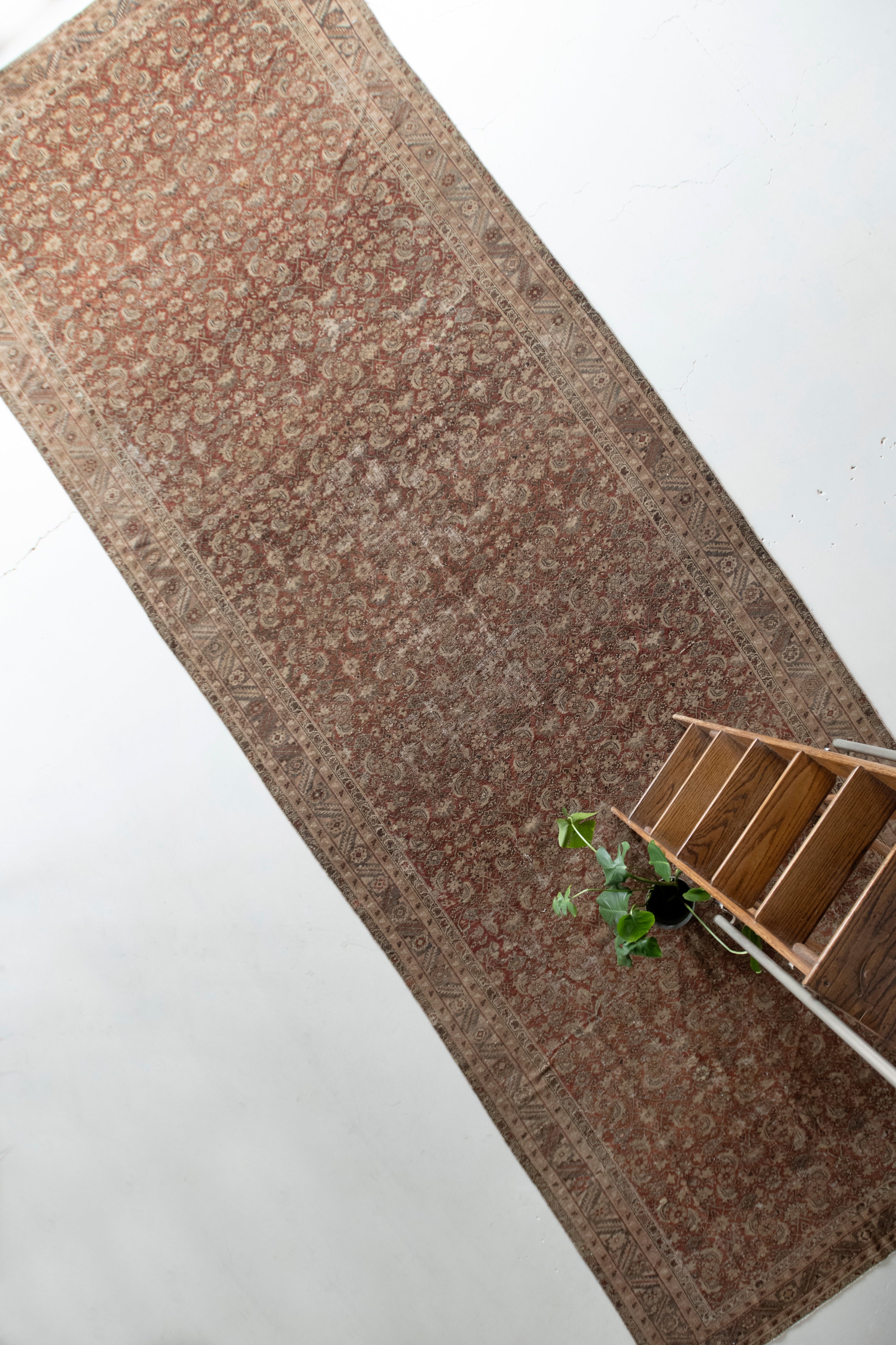 Felicidad 6'10 x 19'6