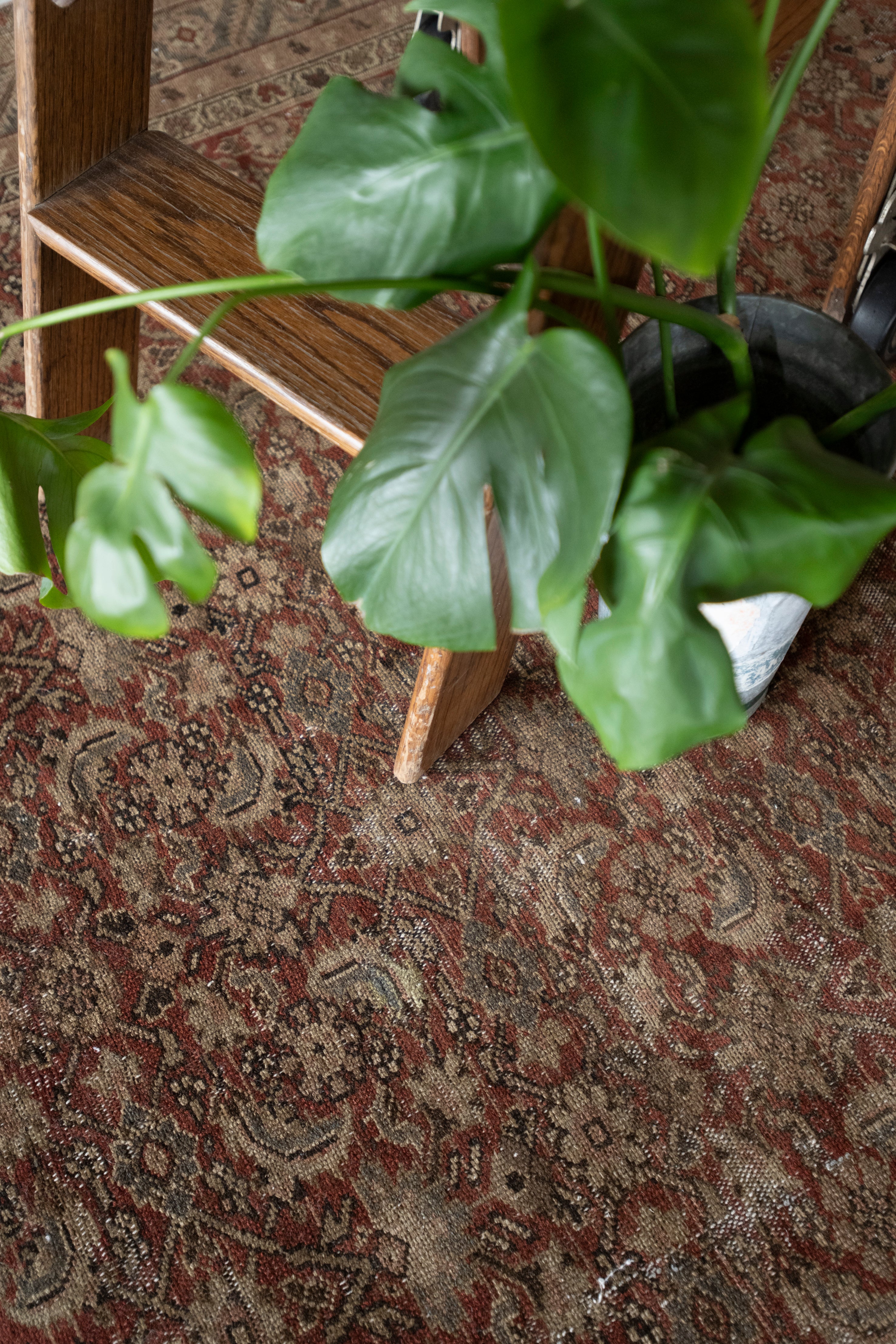 Felicidad 6'10 x 19'6