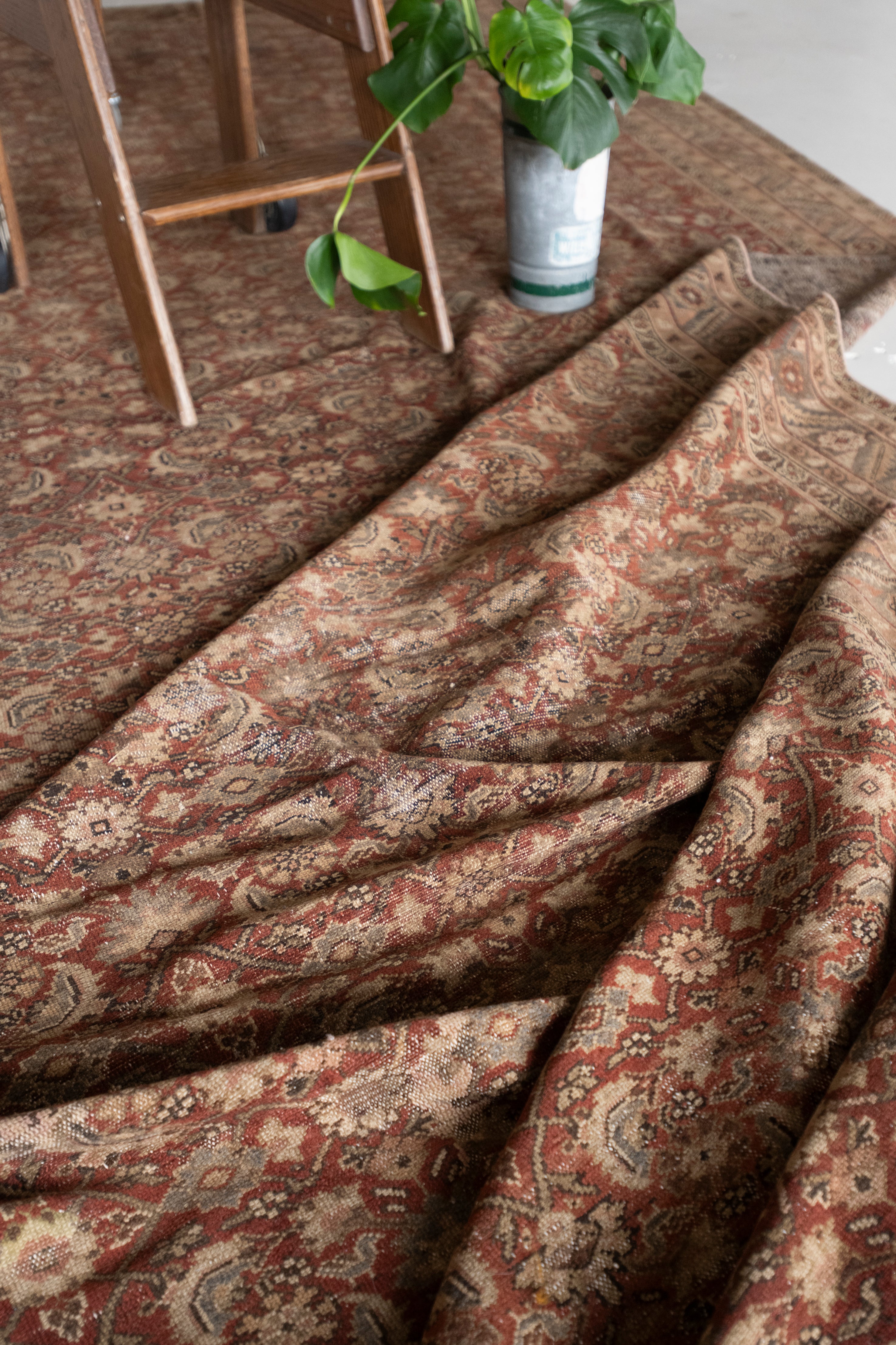 Felicidad 6'10 x 19'6