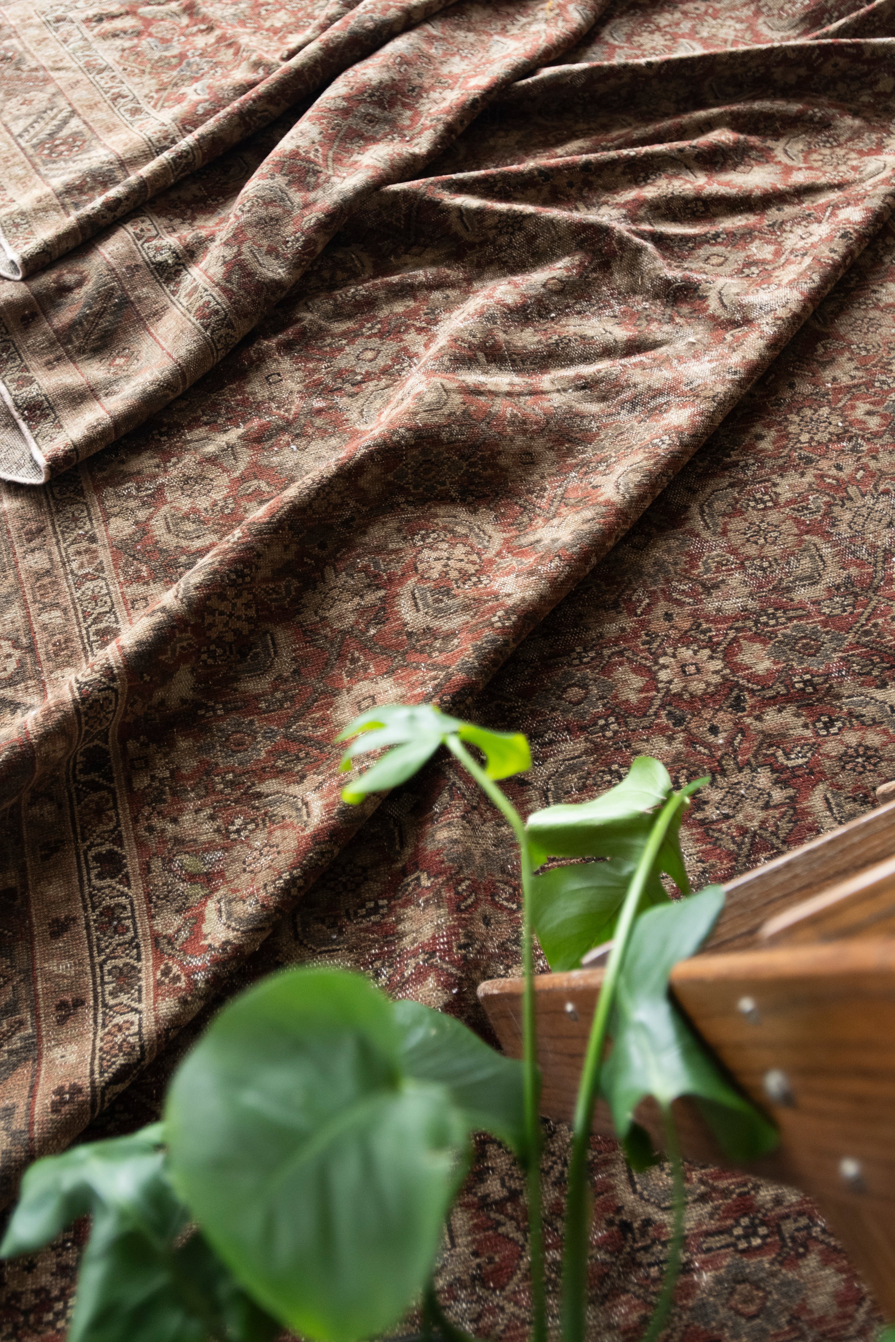 Felicidad 6'10 x 19'6