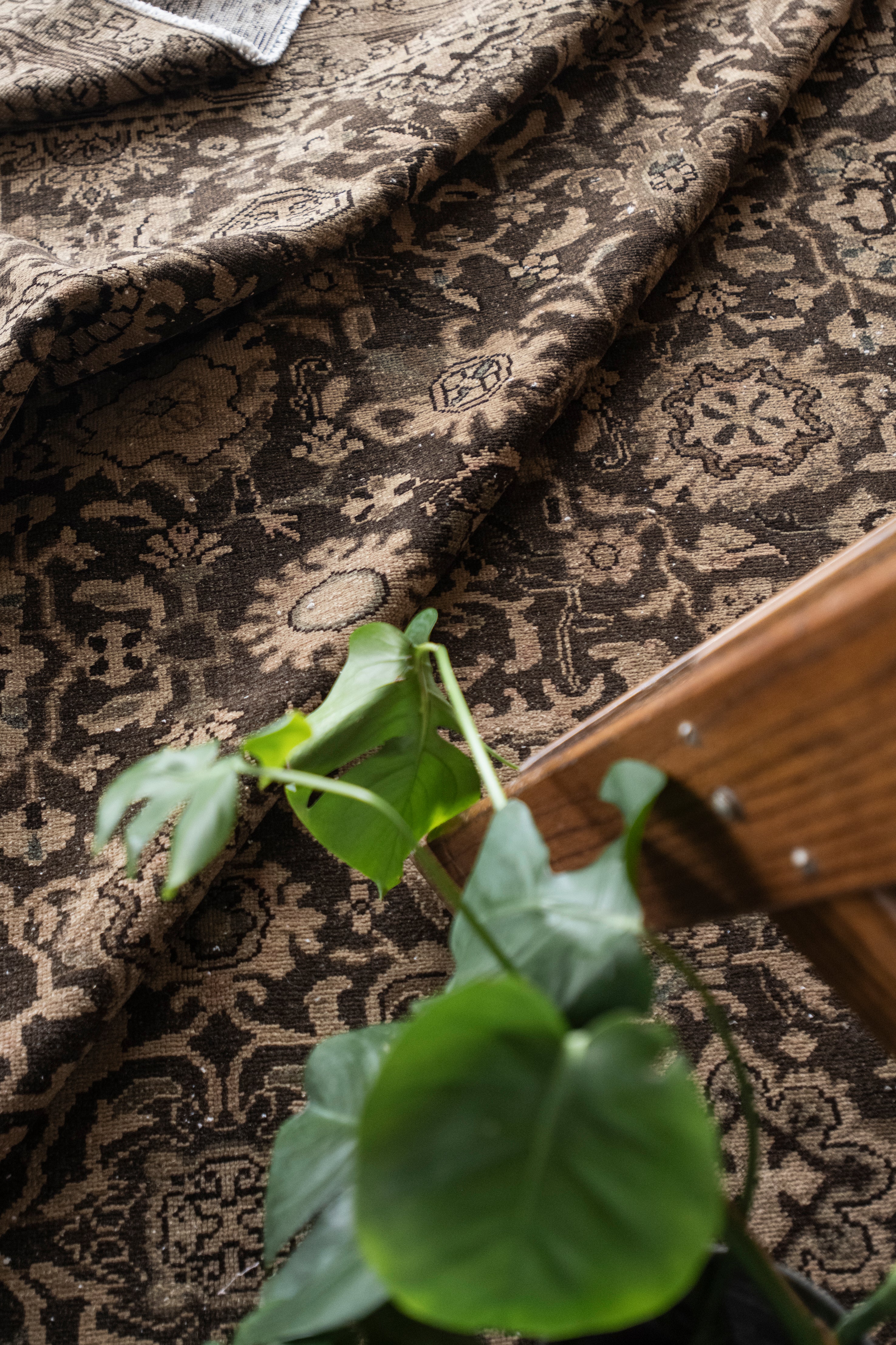 Estefanía 8'8 x 10'11