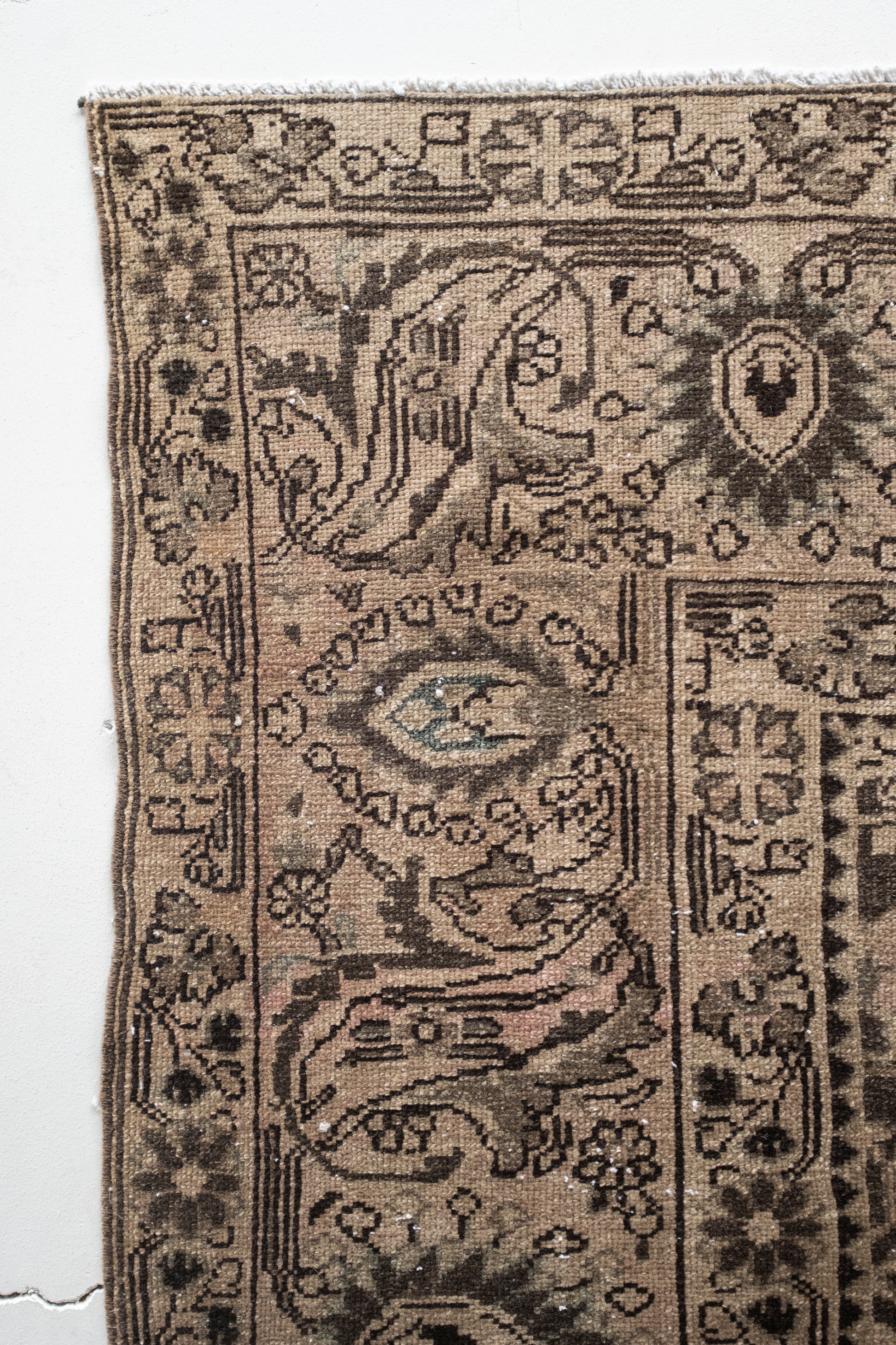 Estefanía 8'8 x 10'11