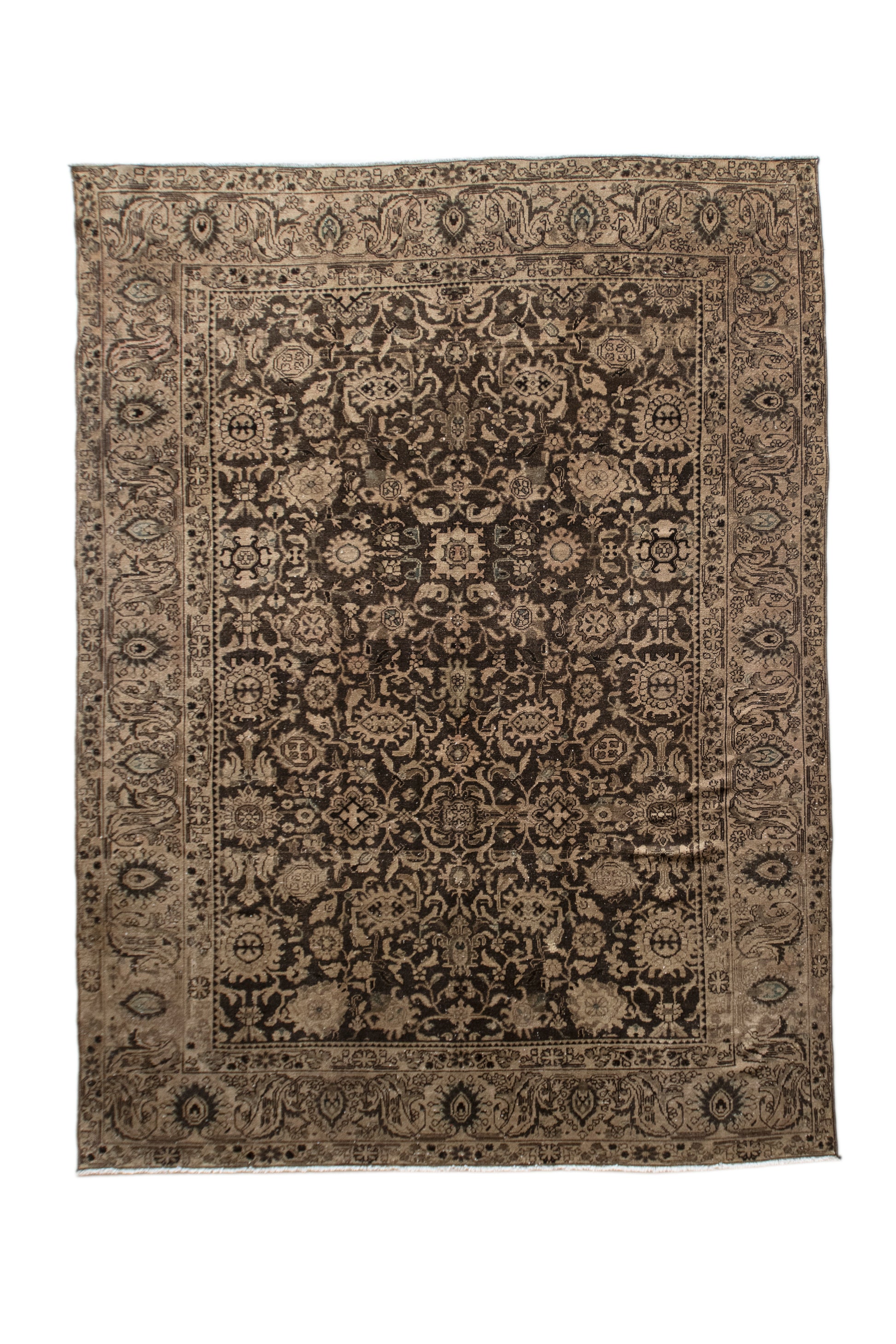 Estefanía 8'8 x 10'11