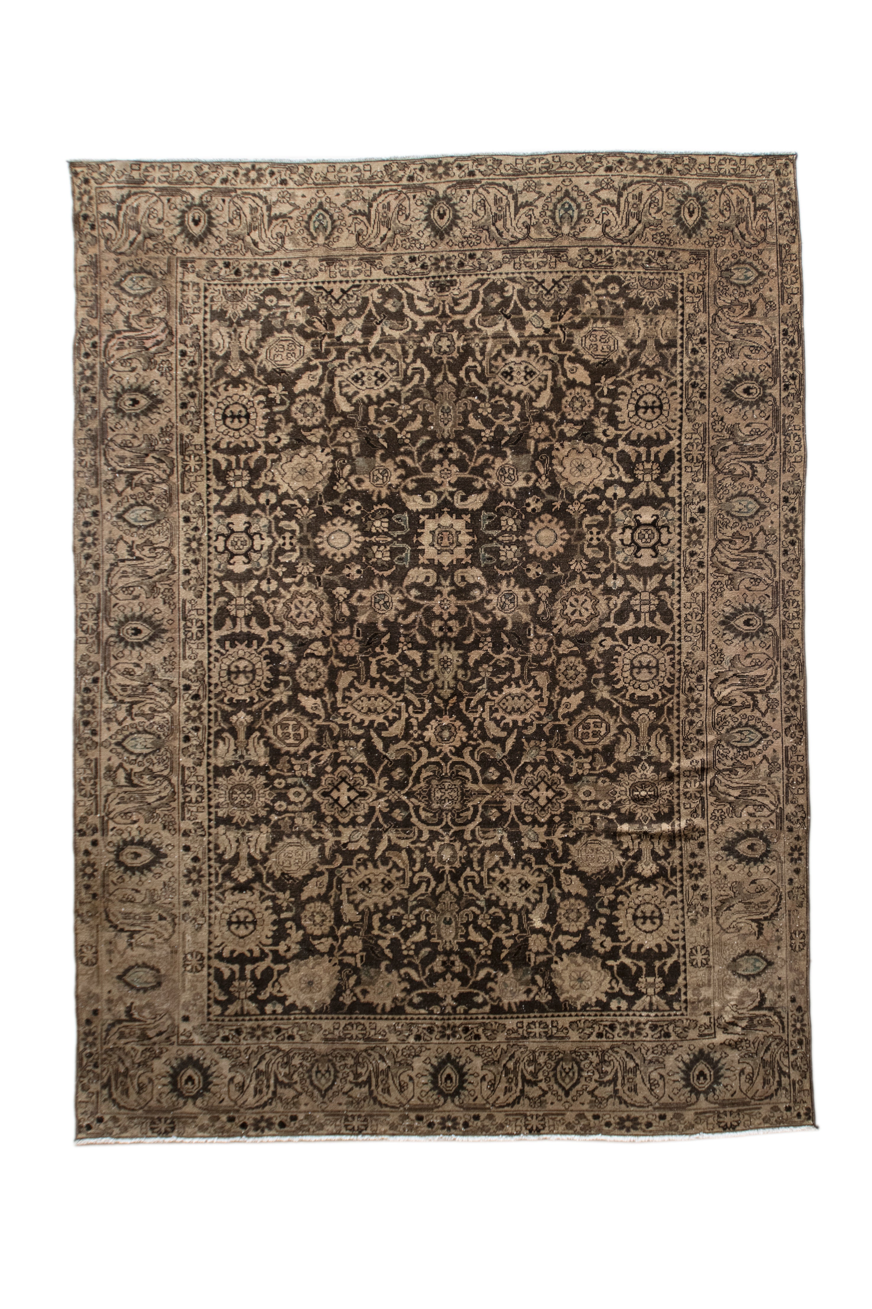 Estefanía 8'8 x 10'11