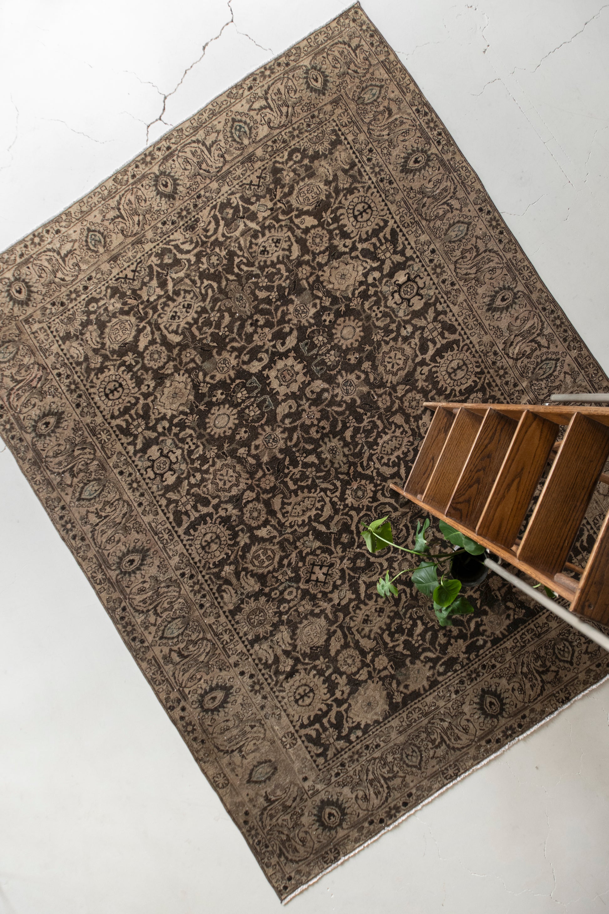 Estefanía 8'8 x 10'11