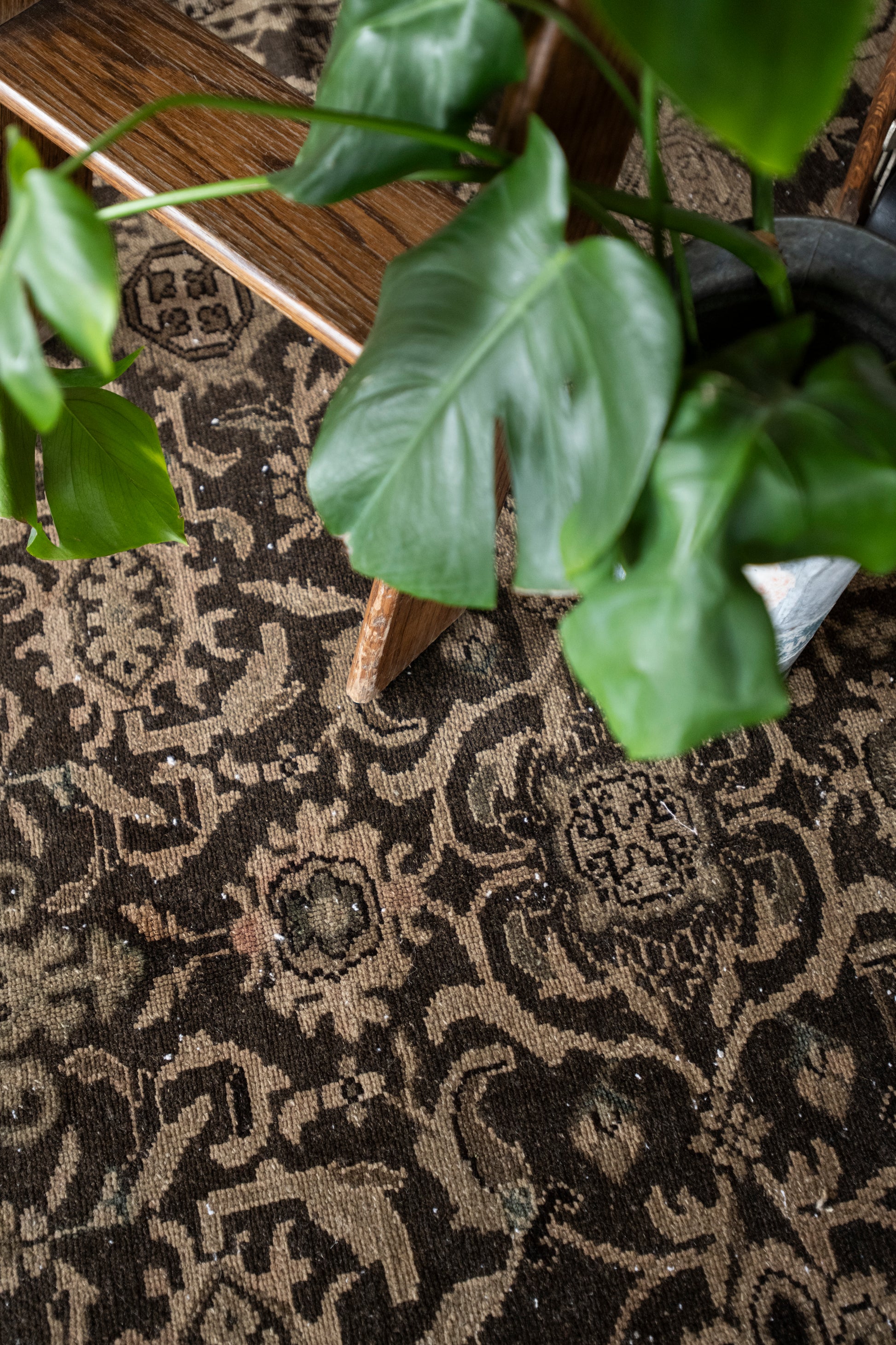 Estefanía 8'8 x 10'11