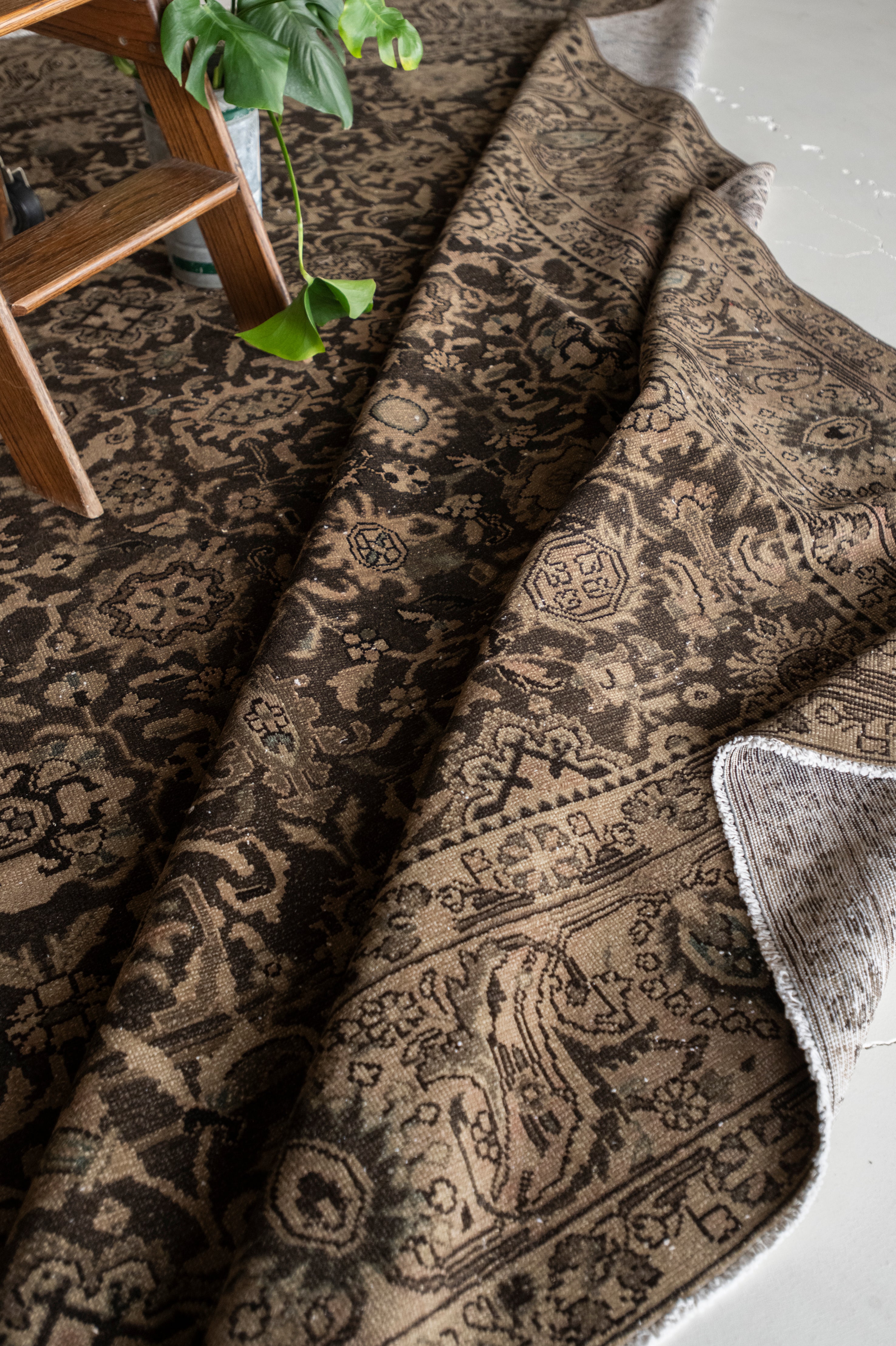 Estefanía 8'8 x 10'11