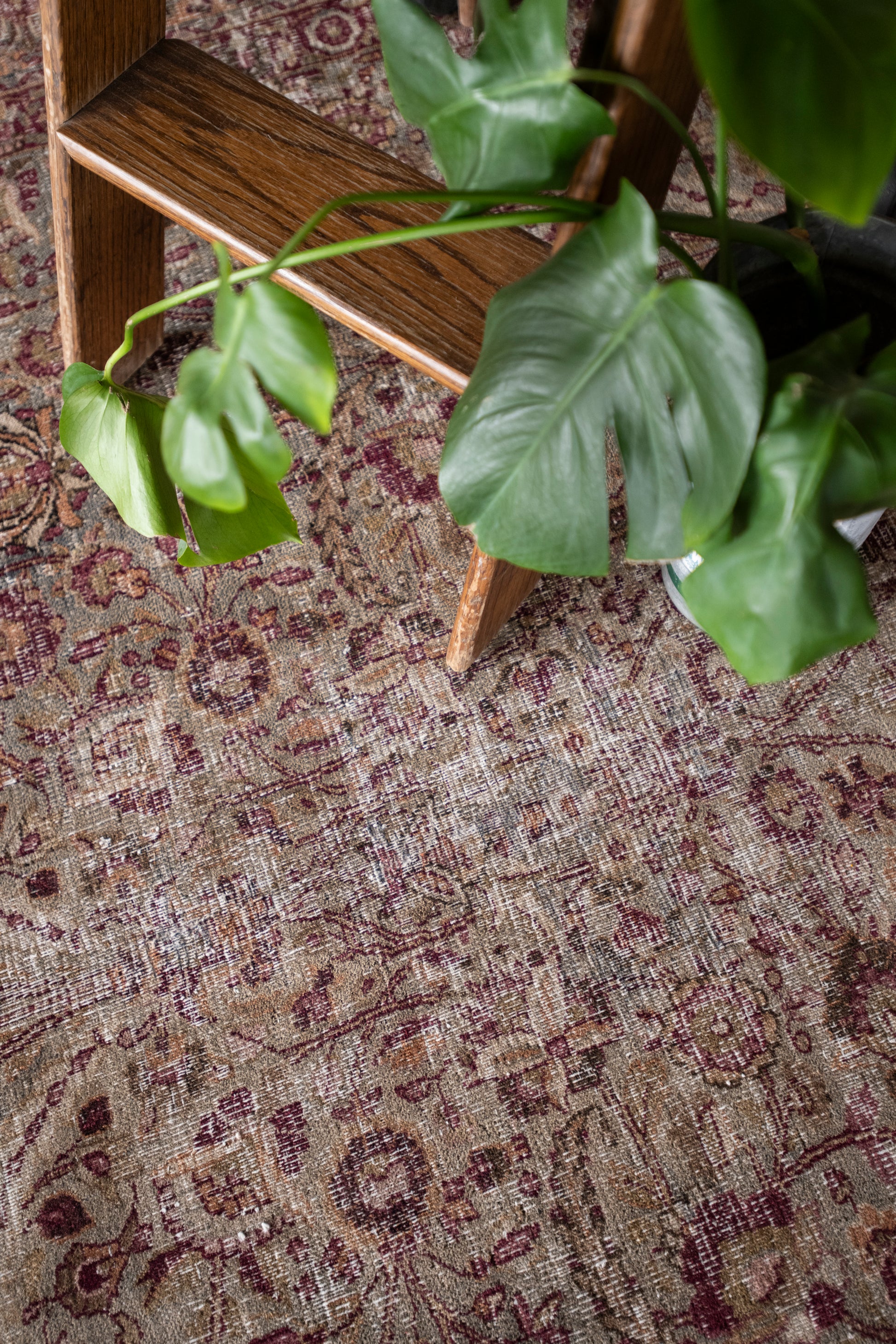 Esmeralda 7'10 x 11'8