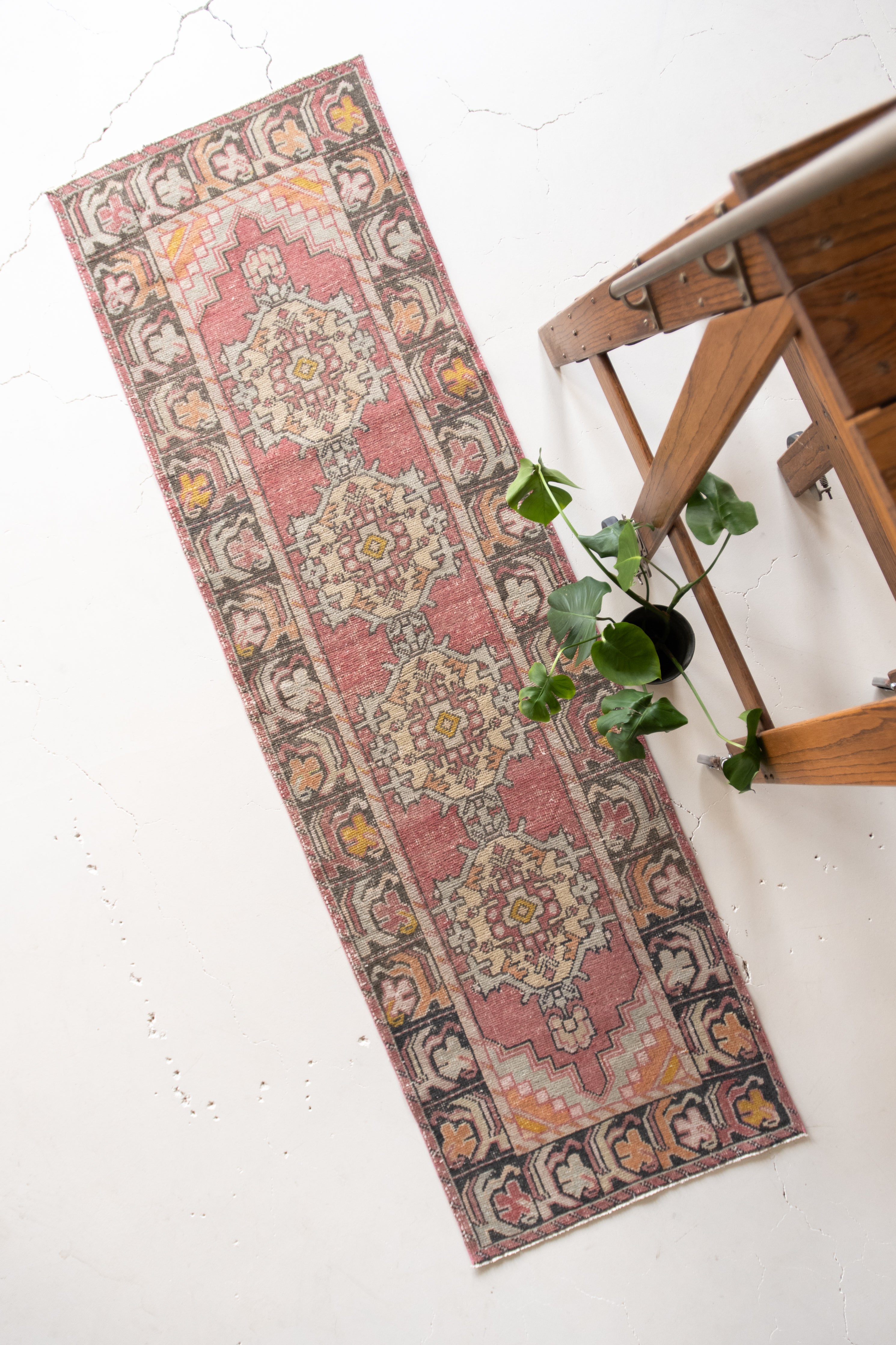 RESERVED | Frankie 3' x 9'9