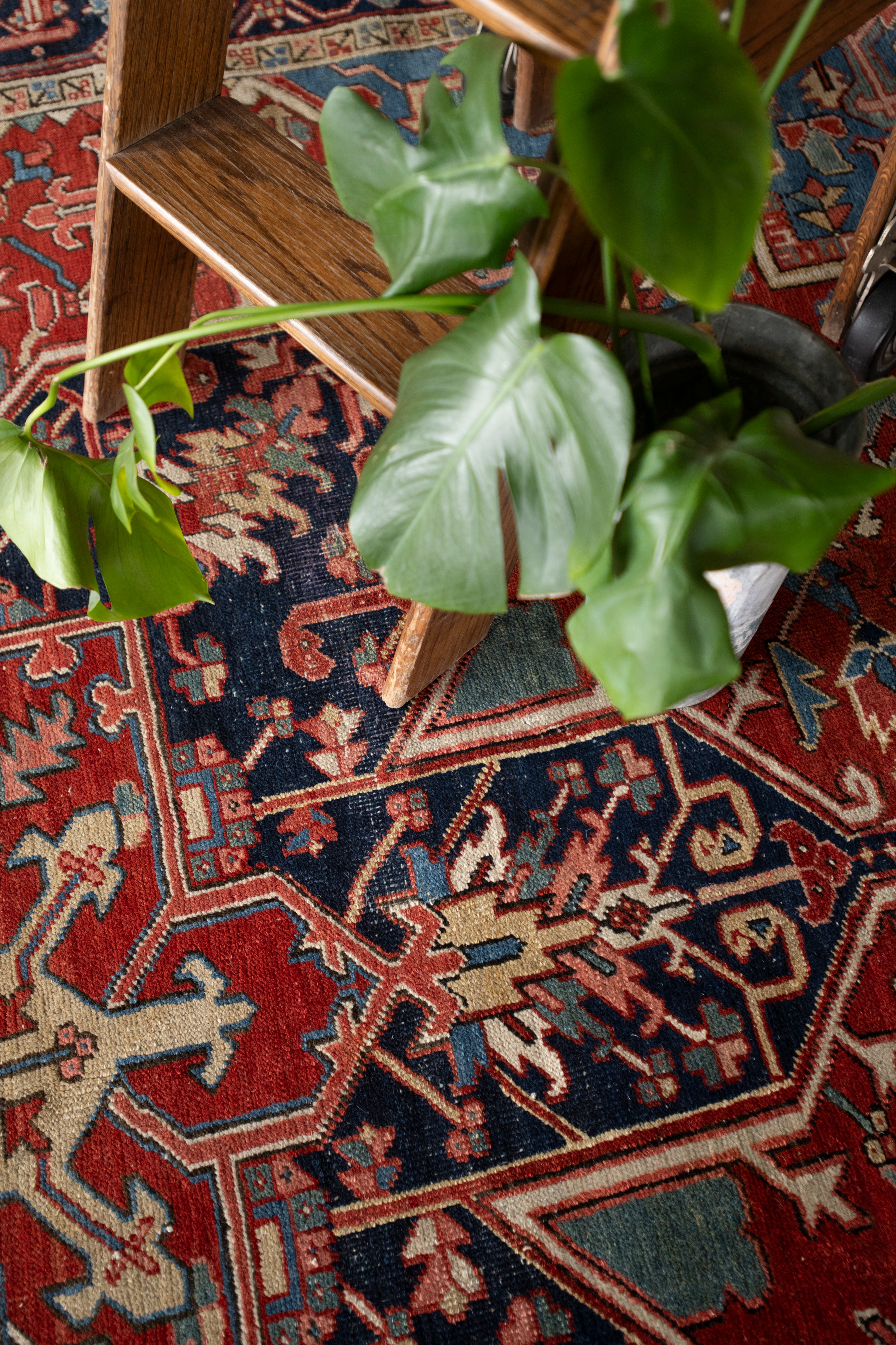 Milagros 8'11 x 11'11