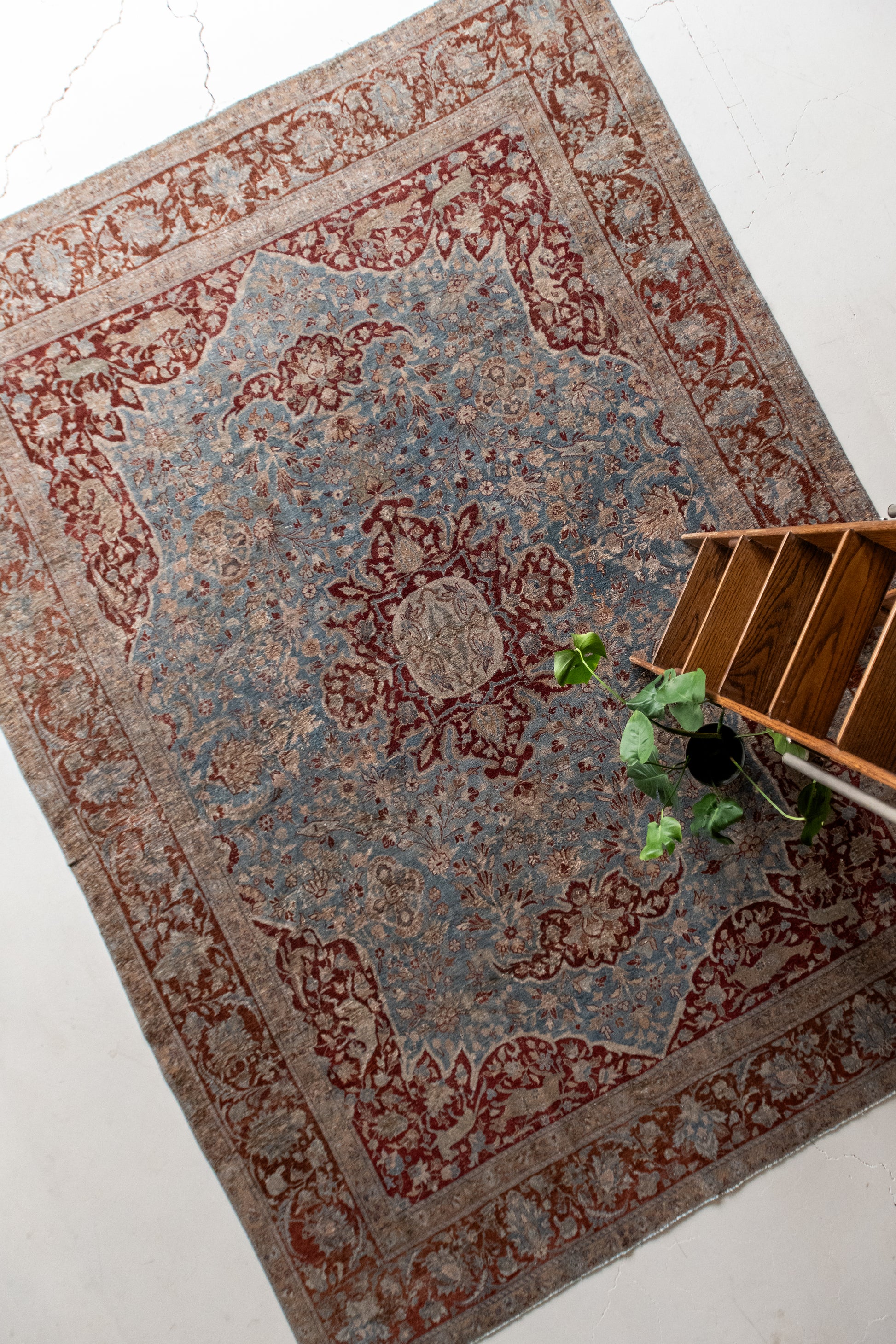 RESERVED| Lavinia 9'2 x 12'3