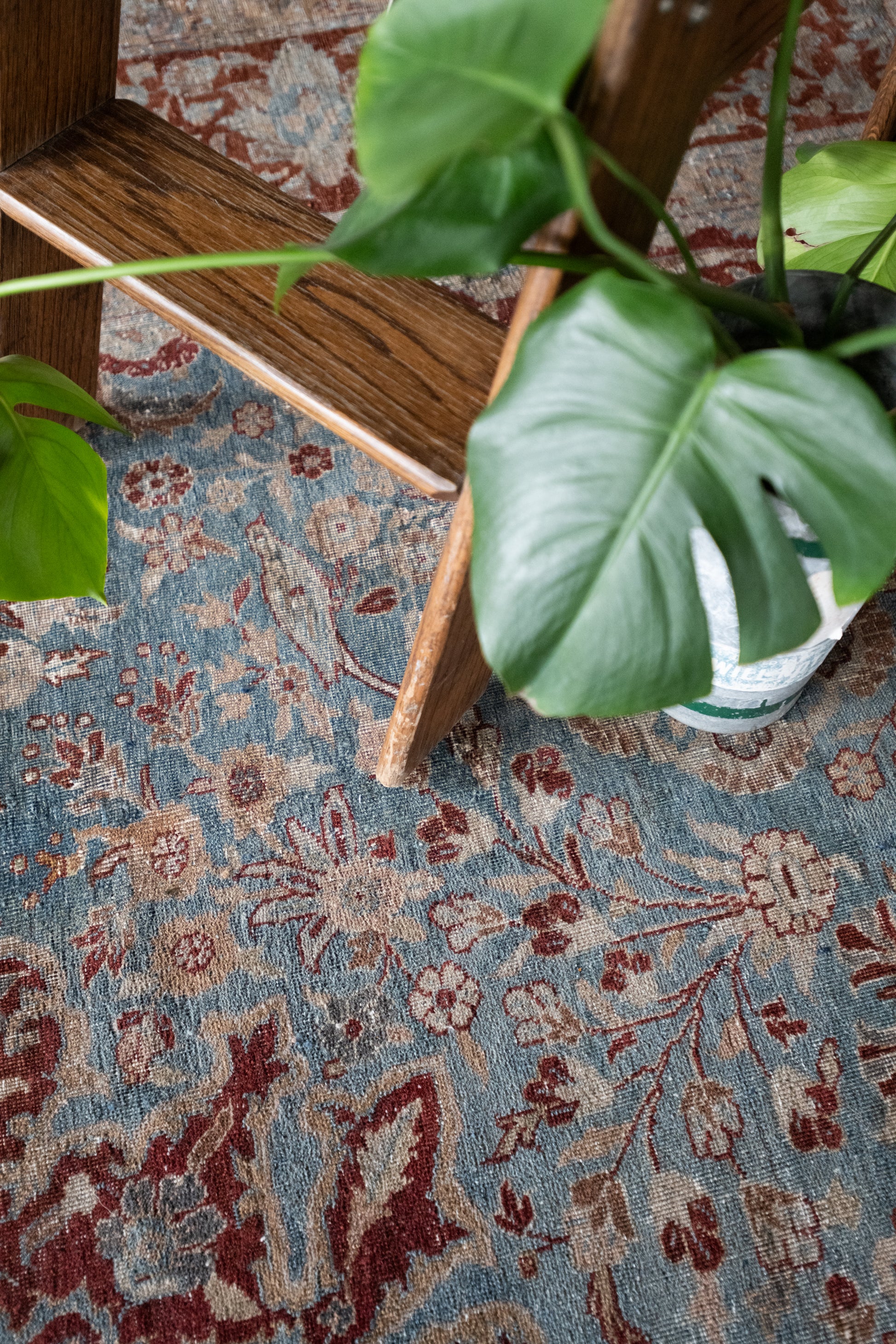 RESERVED| Lavinia 9'2 x 12'3