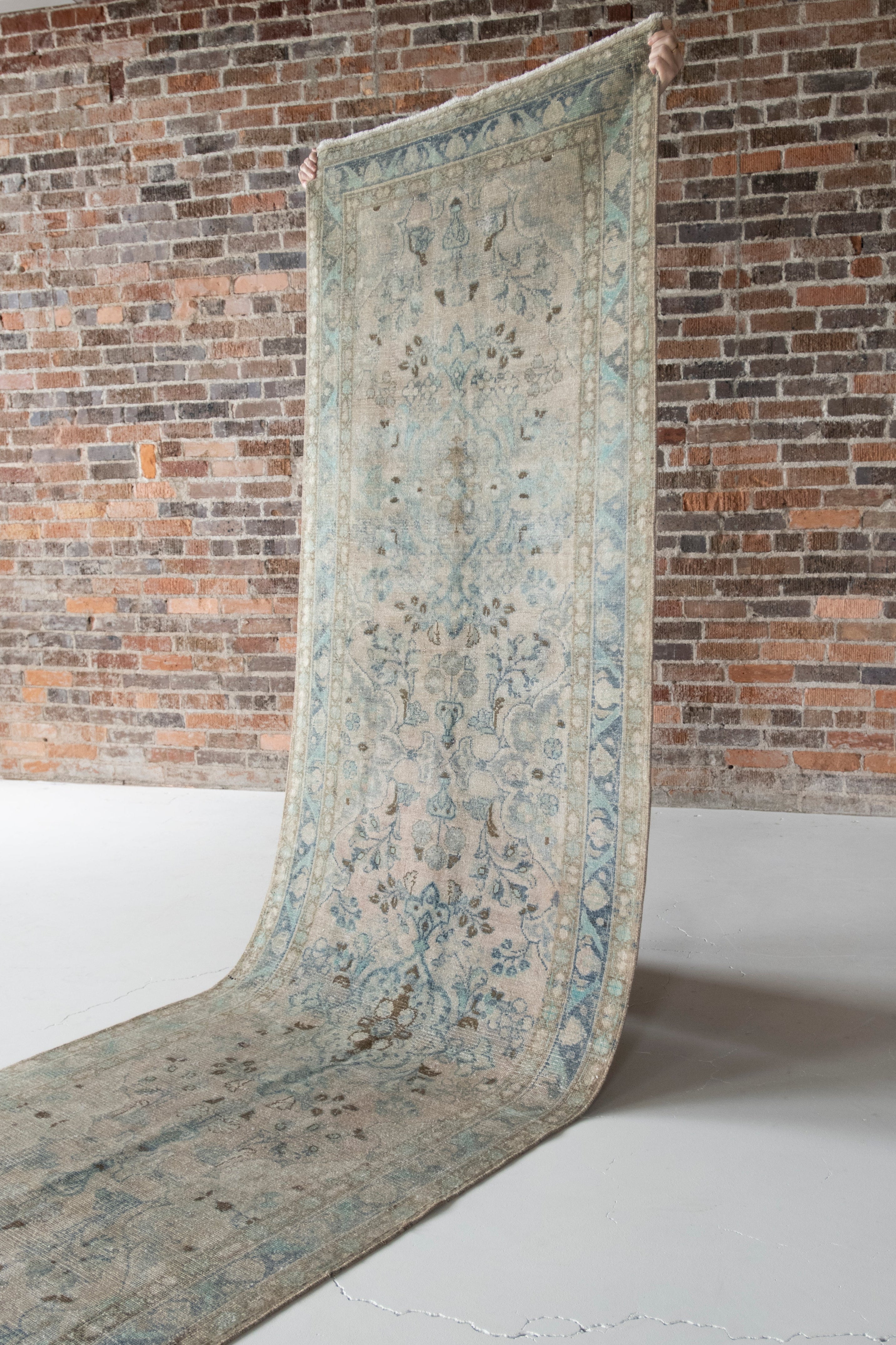 Clariz 3'6 x 13'2