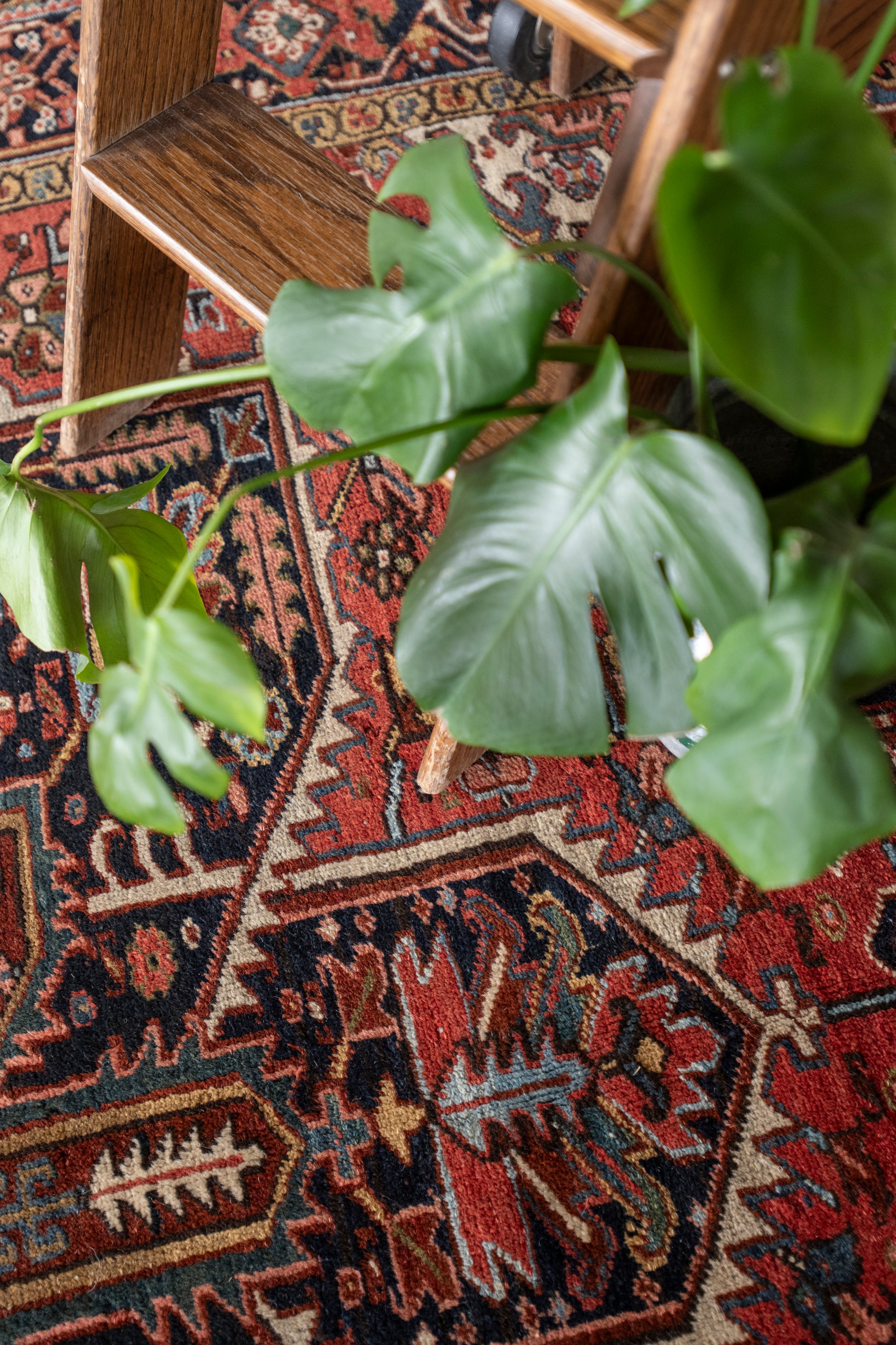 RESERVED | Asun 8' x 10'8