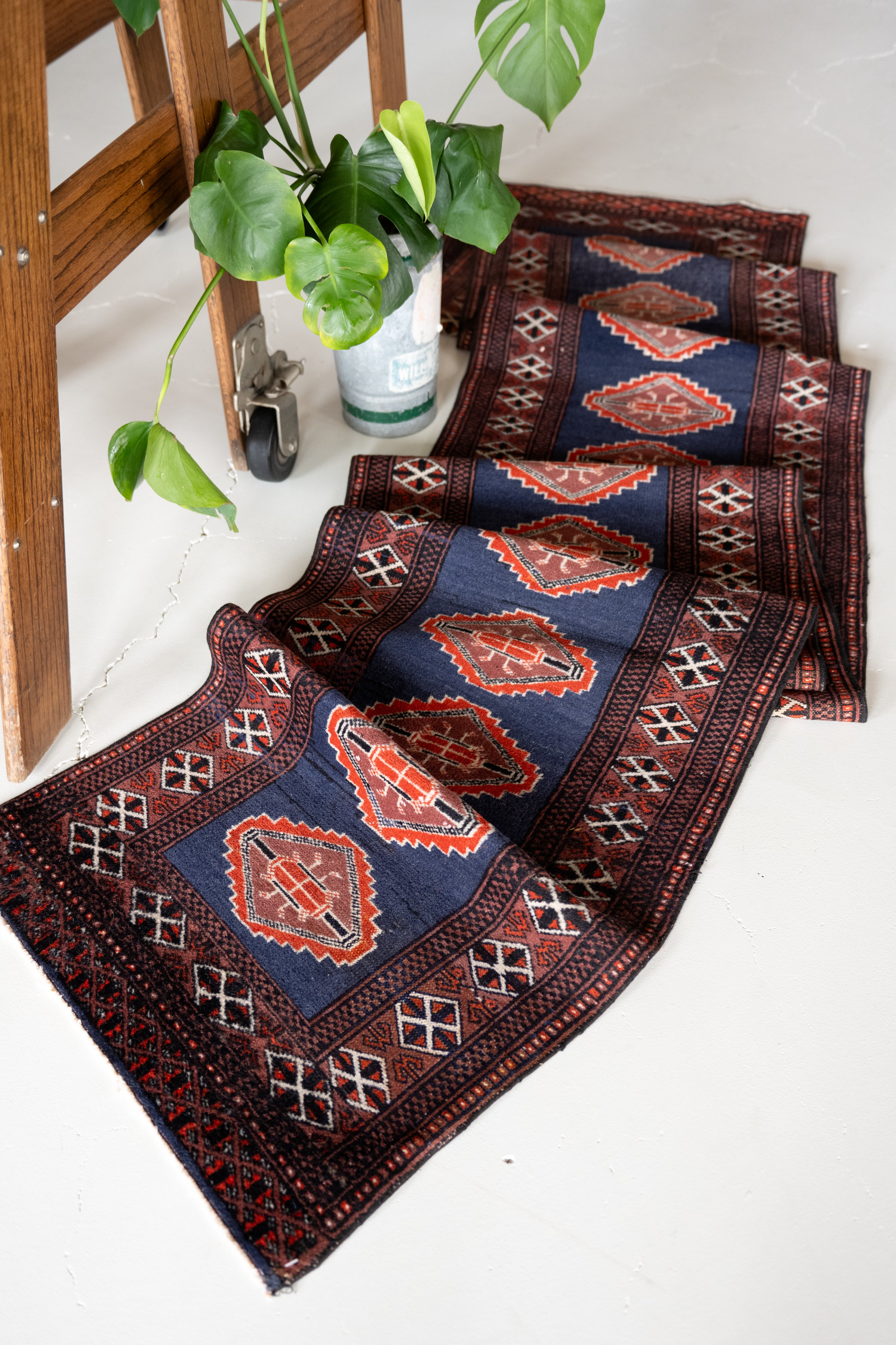 Callista 1'11 x 13'5