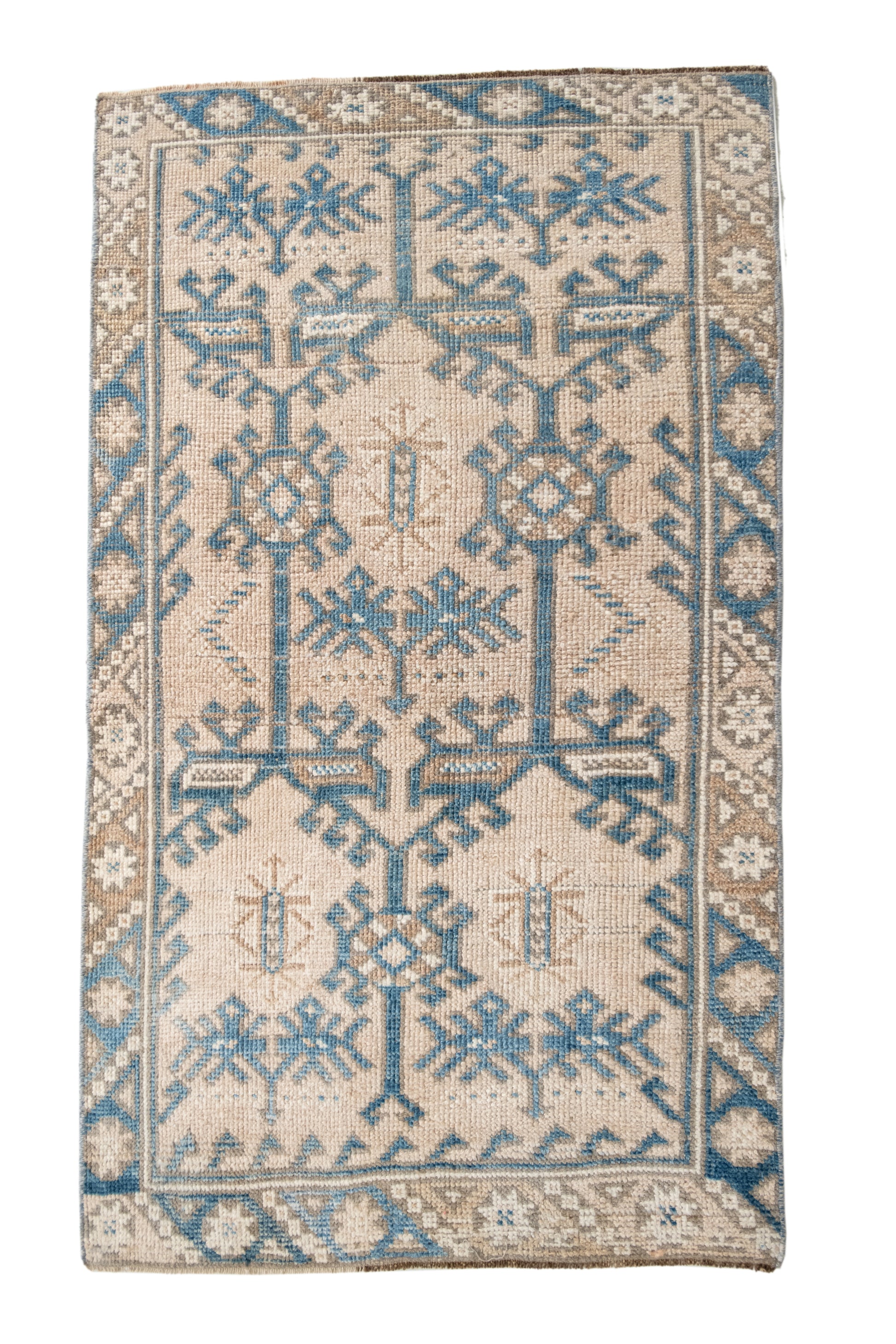 Laria 2'5 x 4'2