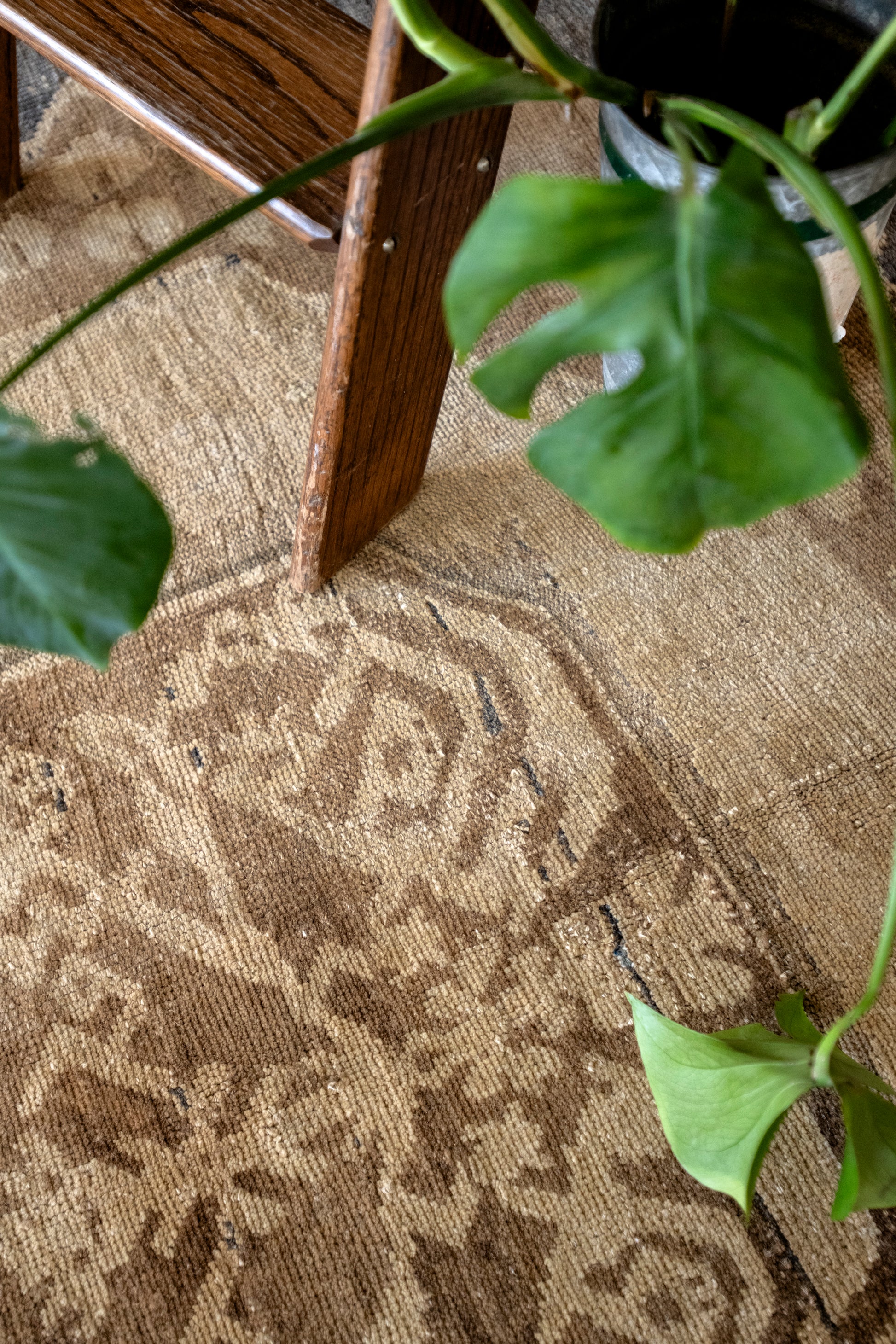 RESERVED | Bianca 8'1 x 11'4