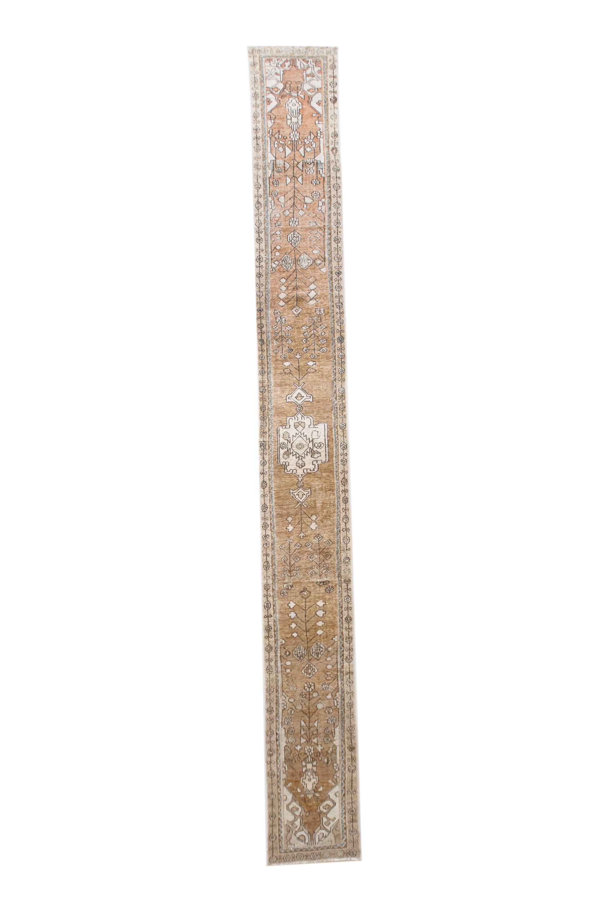 Lanie 2'2 x 18'11