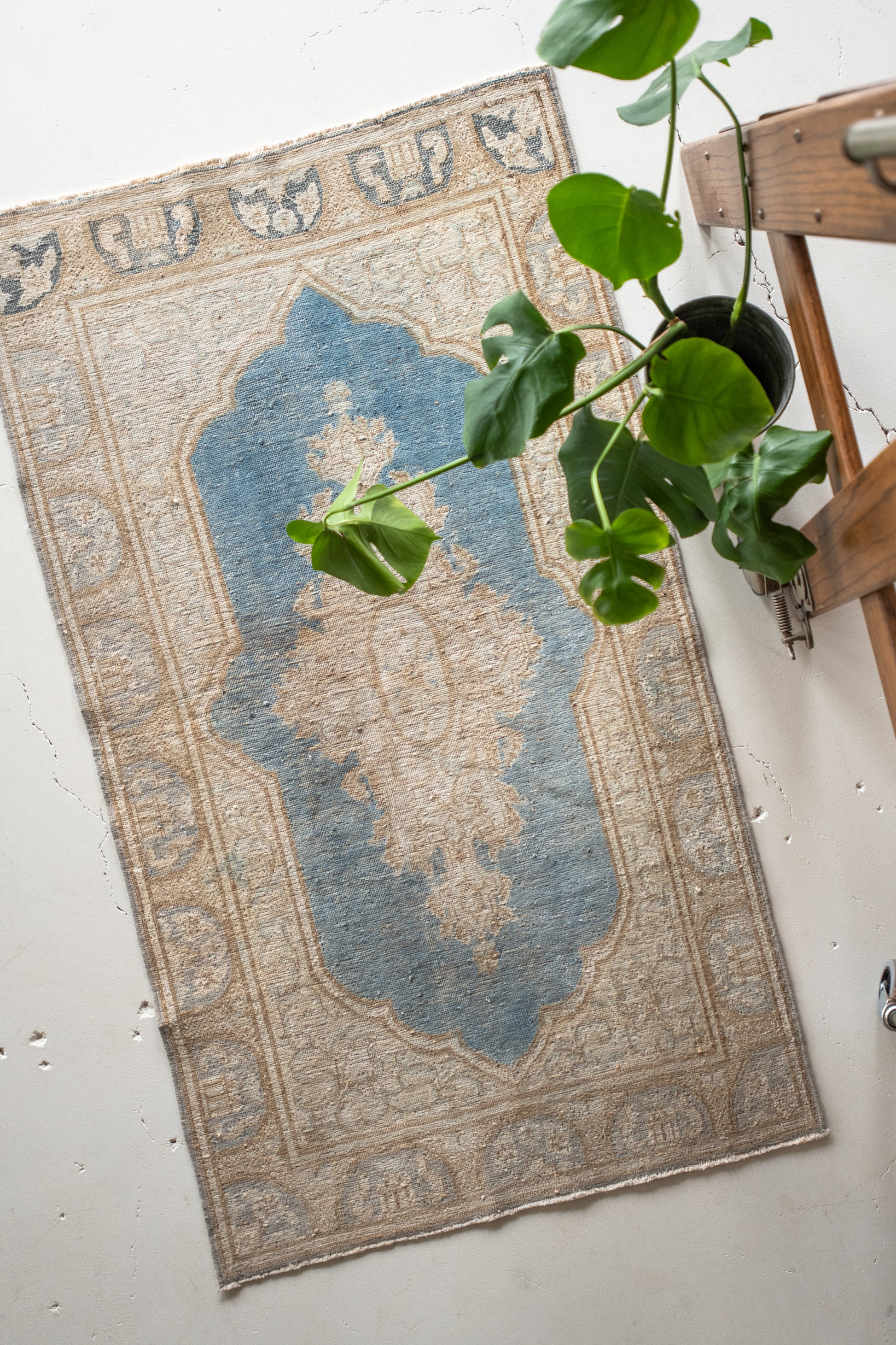RESERVED | Eulalia 2'9 x 4'10