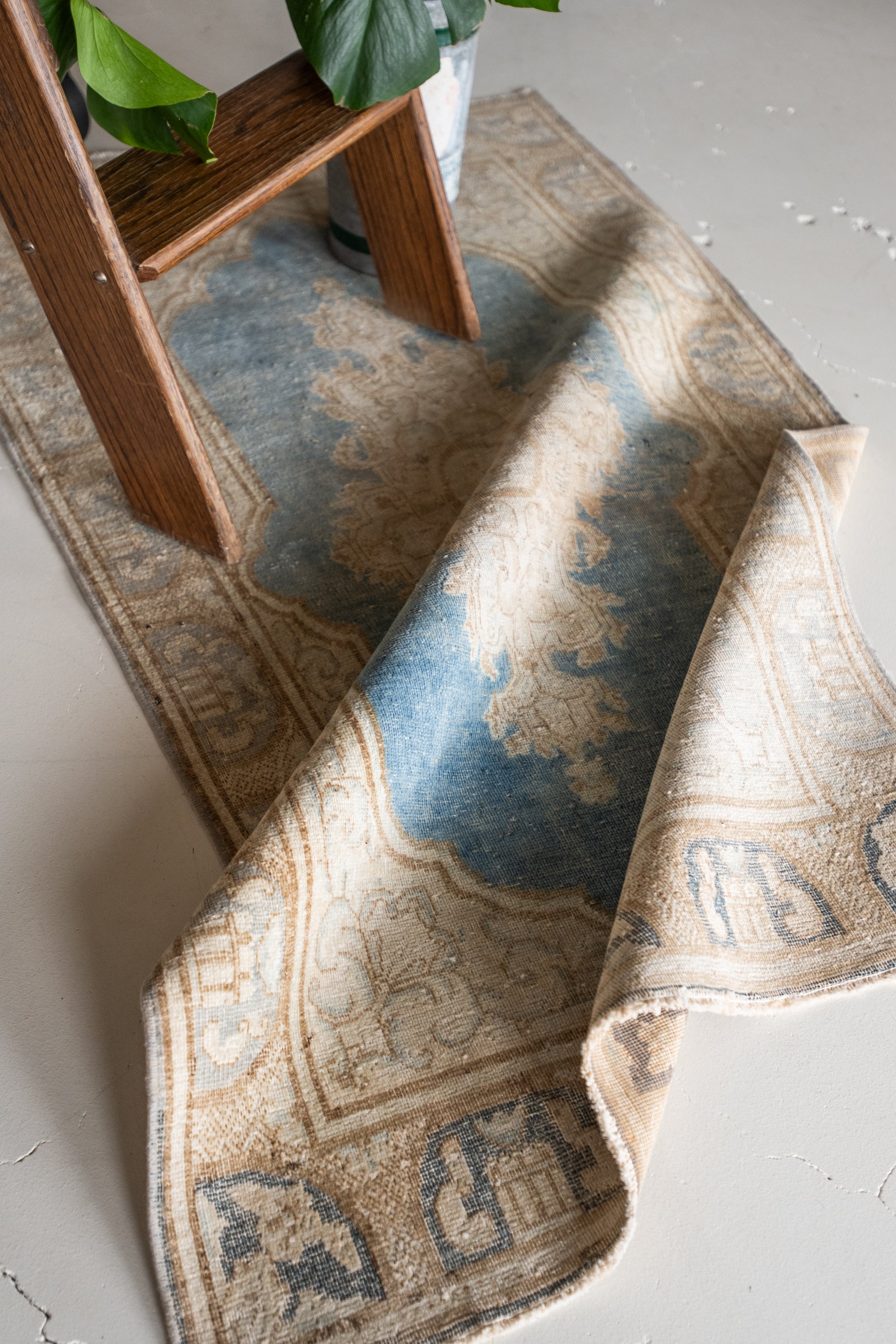 RESERVED | Eulalia 2'9 x 4'10