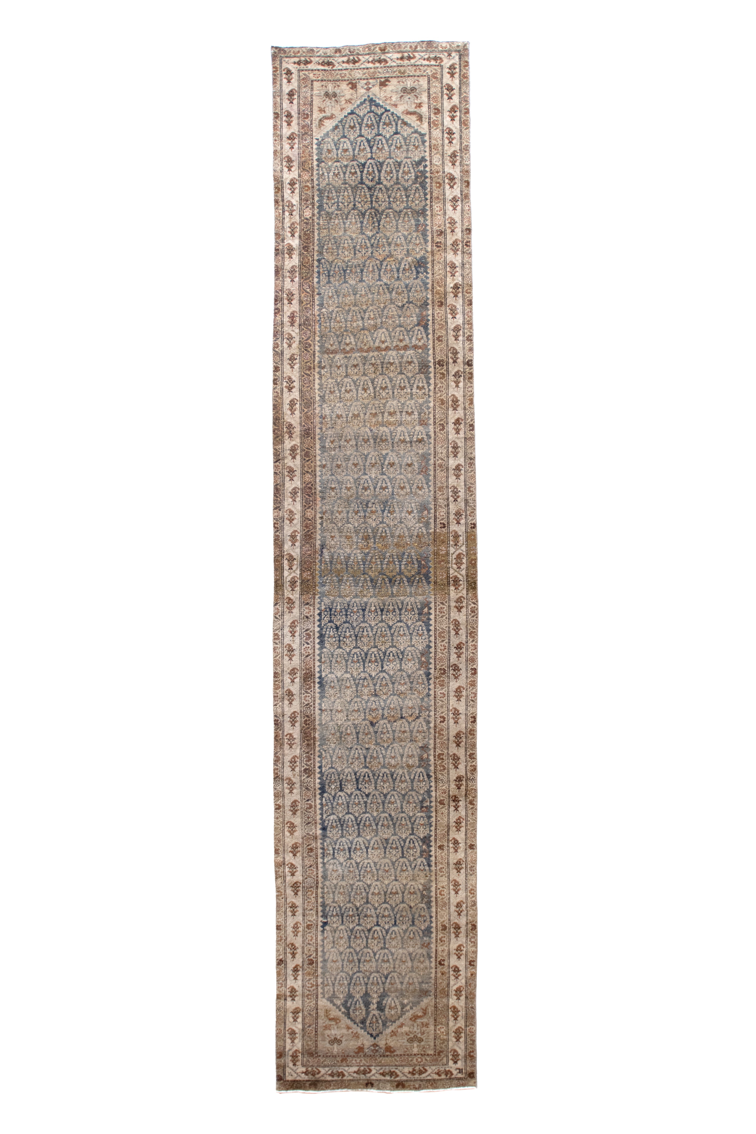 Sevi 3'3 x 16'8