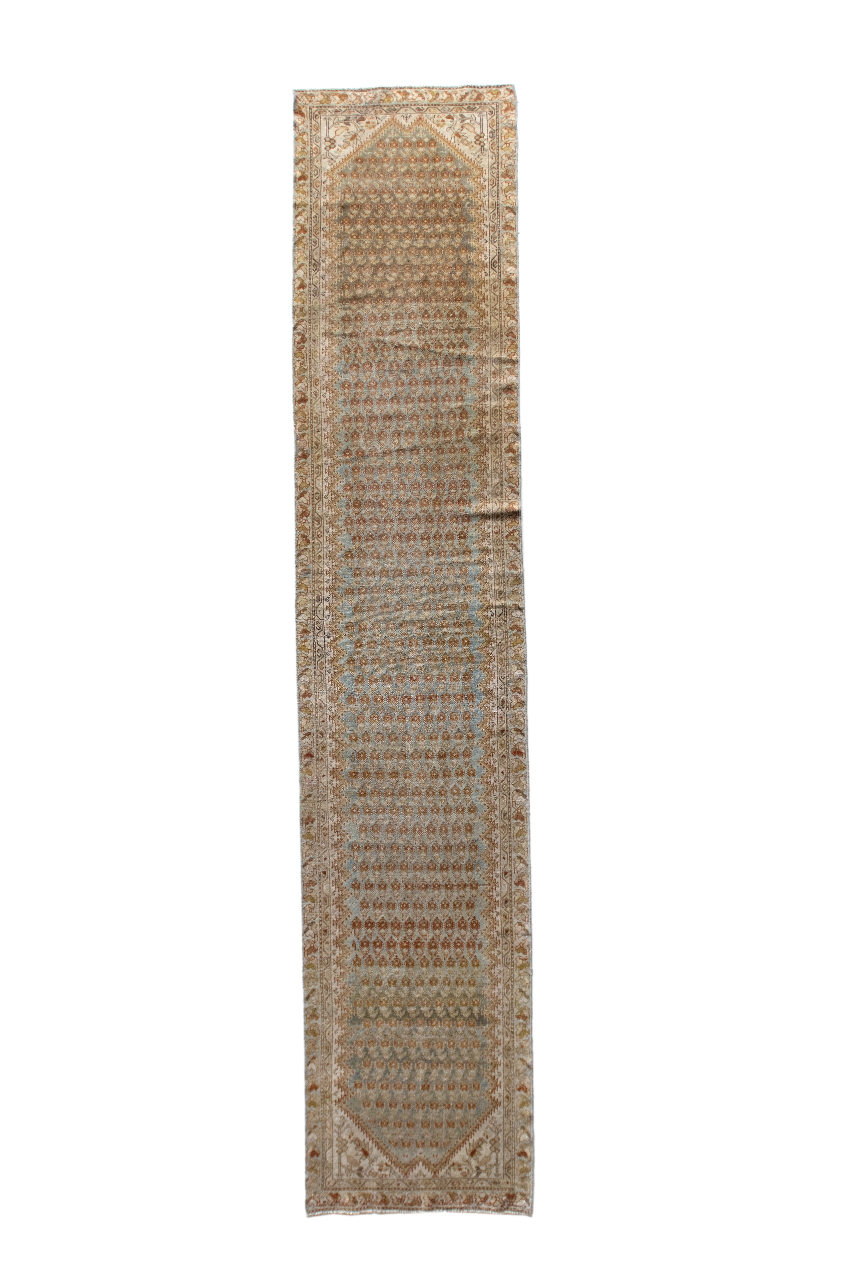 Alna 2'9 x 13'3