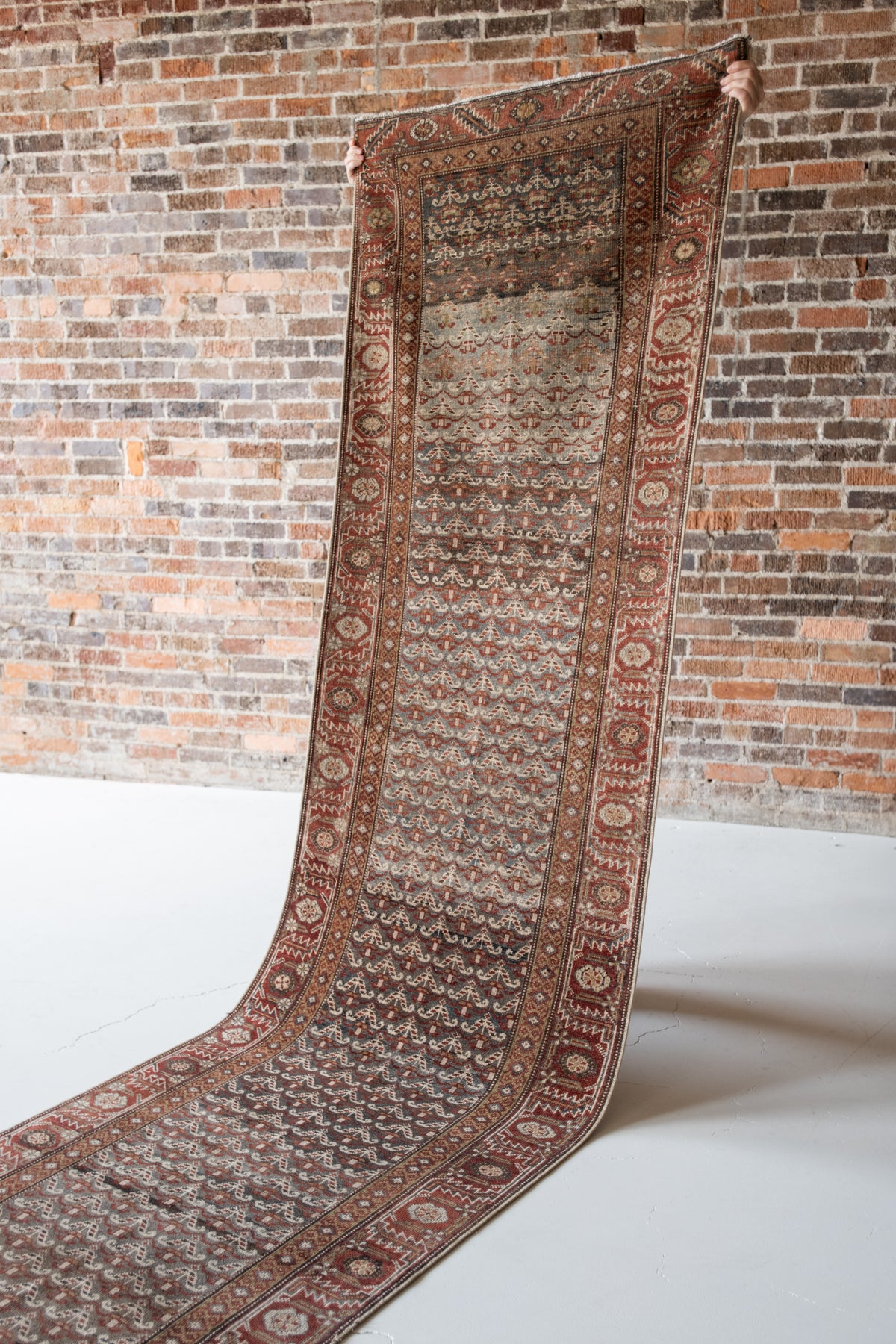 Fendi 3'4 x 17'3