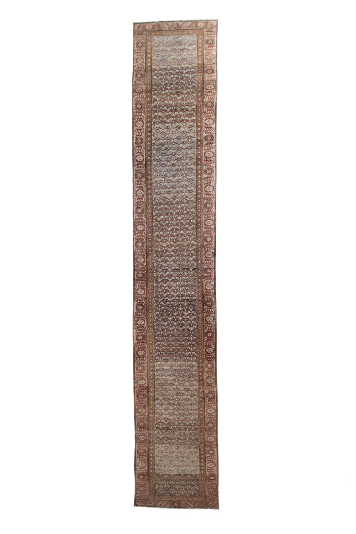 Fendi 3'4 x 17'3
