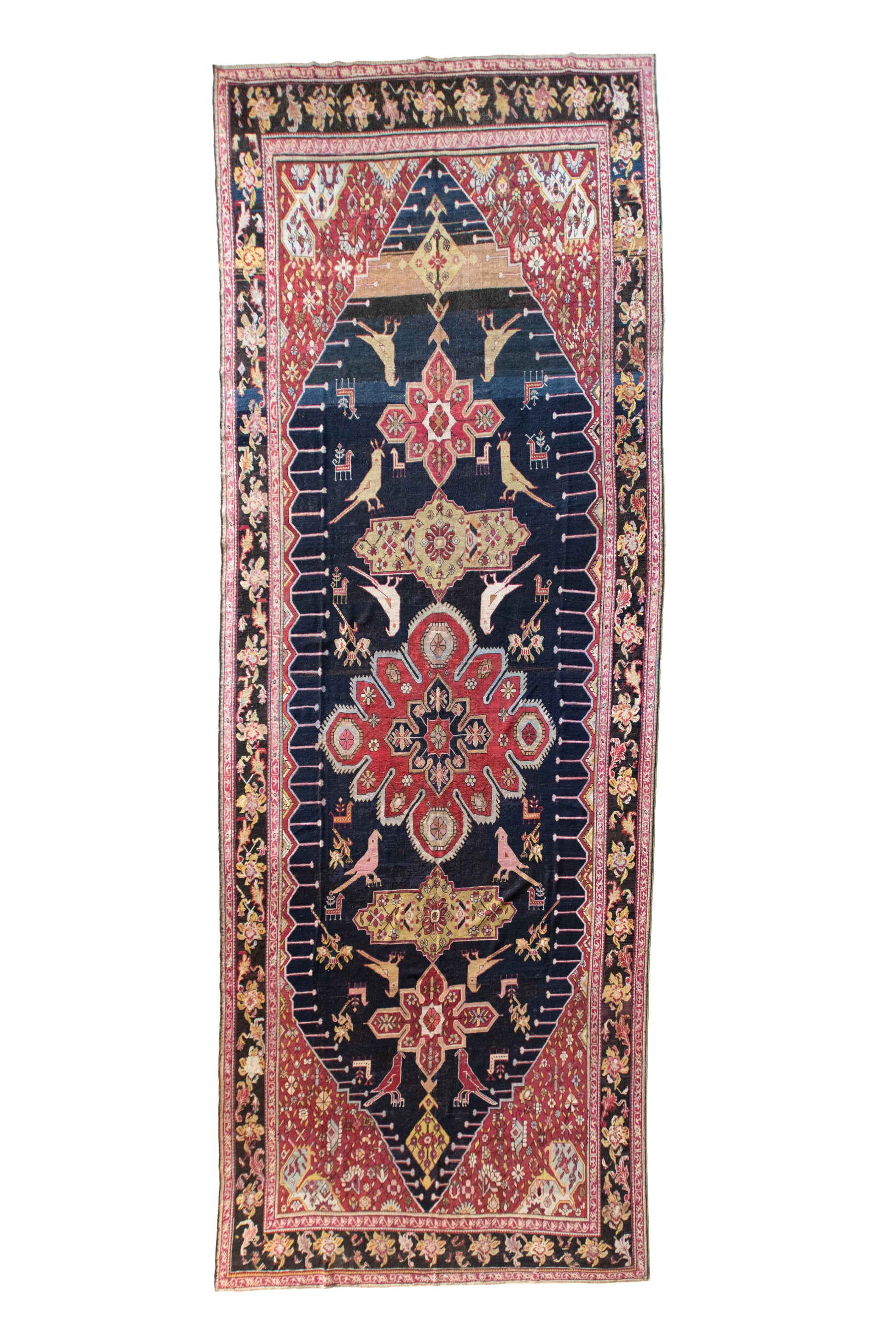 Aster 7'1 x 18'1