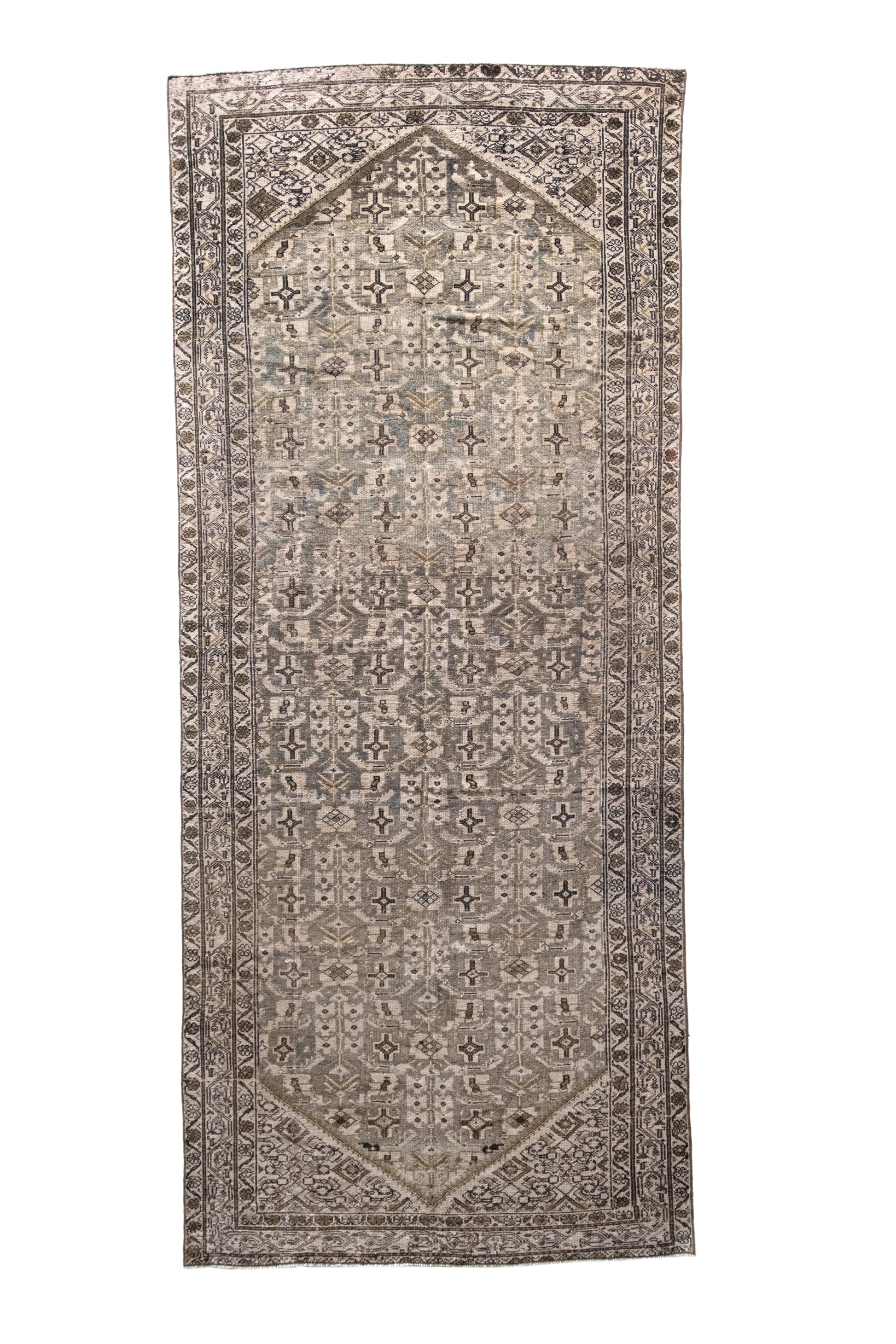 Rani 5' x 11'8