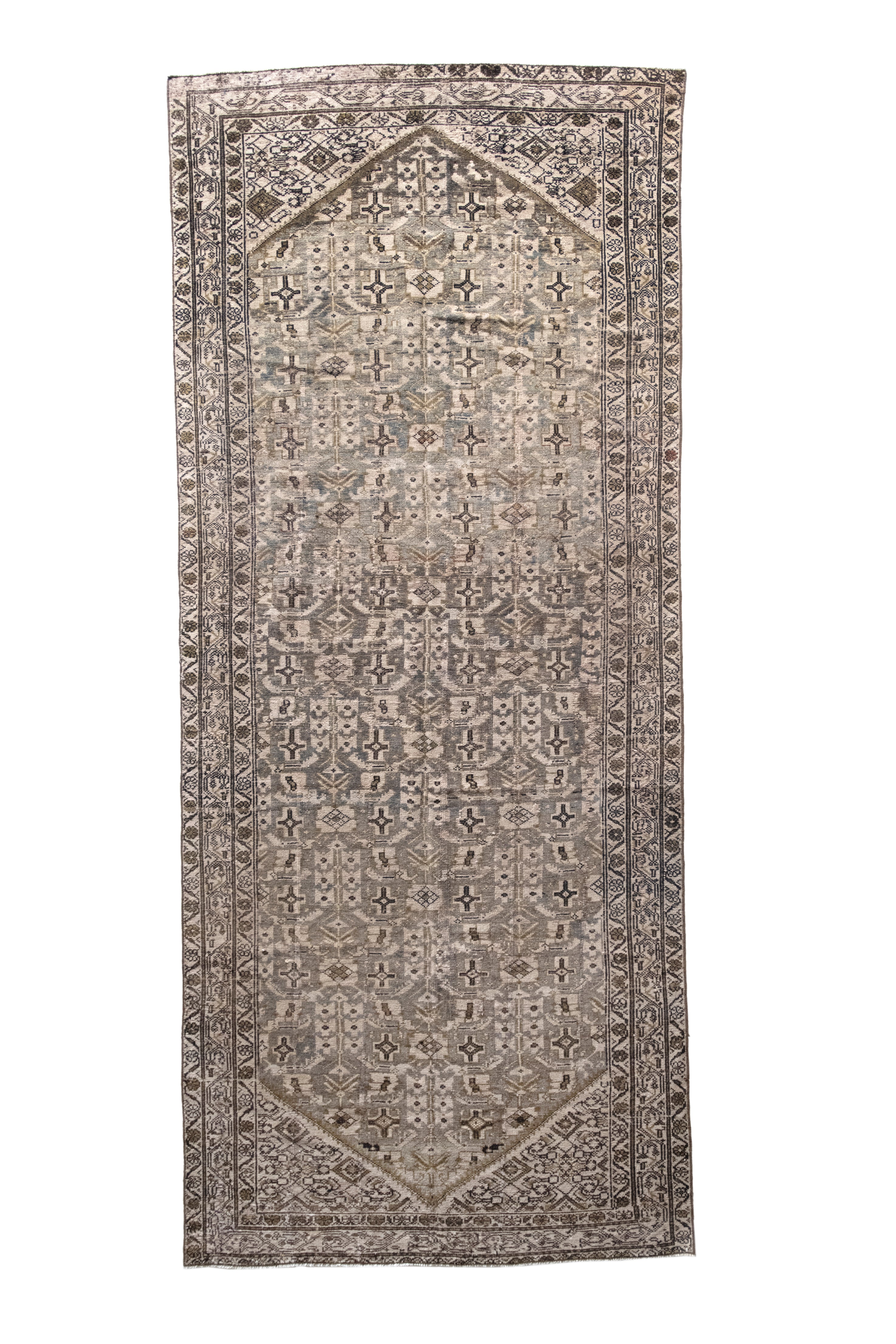 Rani 5' x 11'8