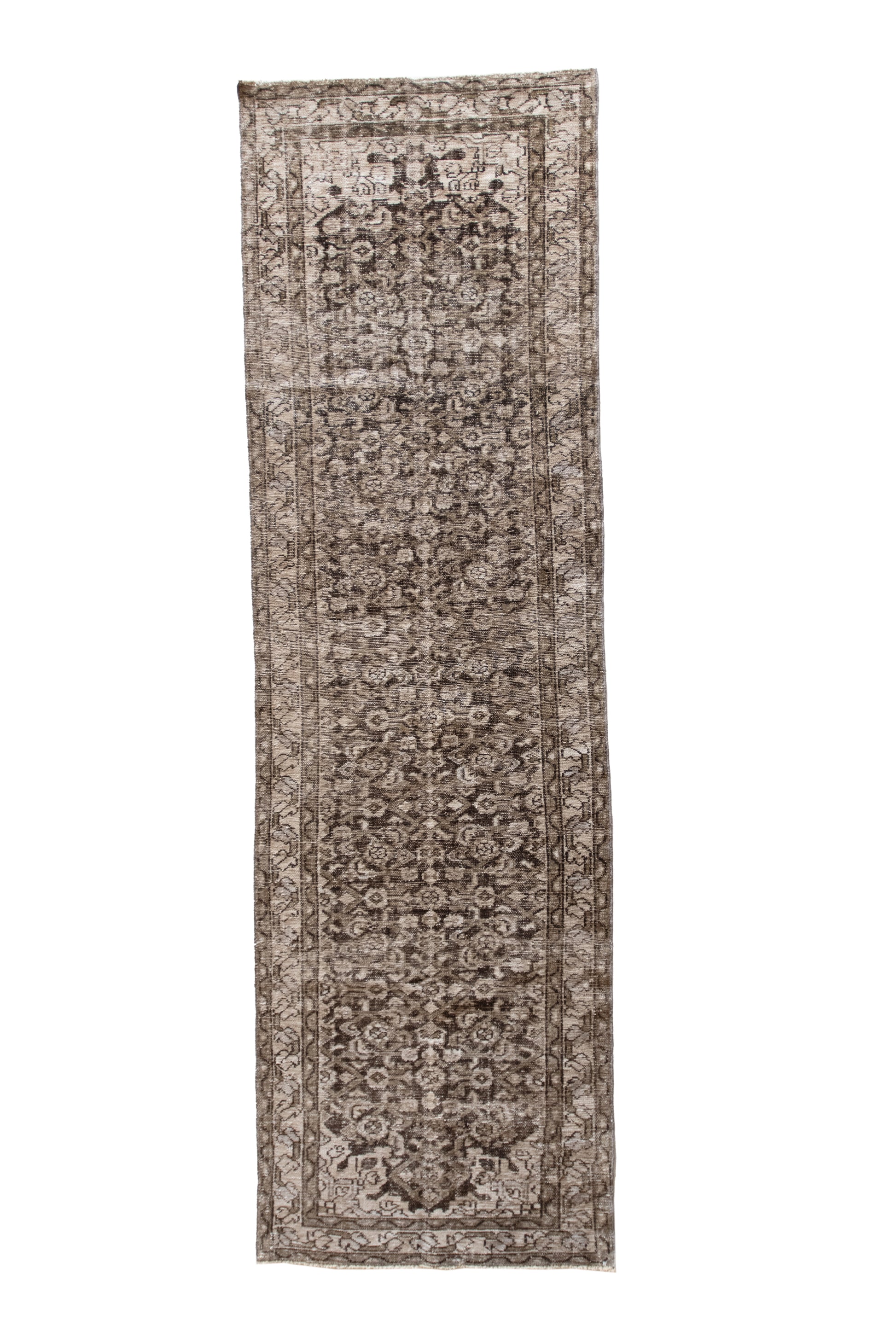Dina 3'1 x 10'2