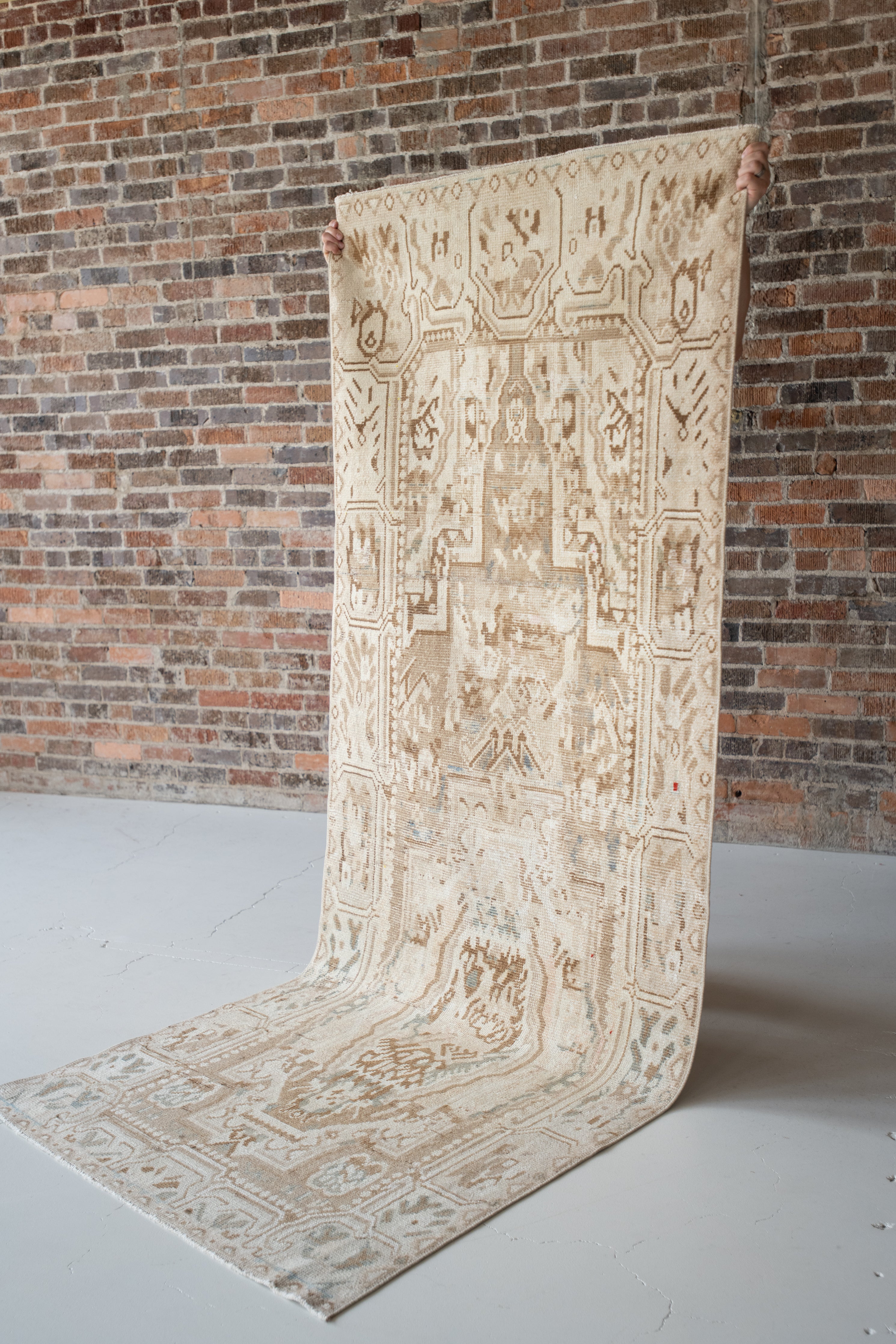 Iwana 3'6 x 8'10