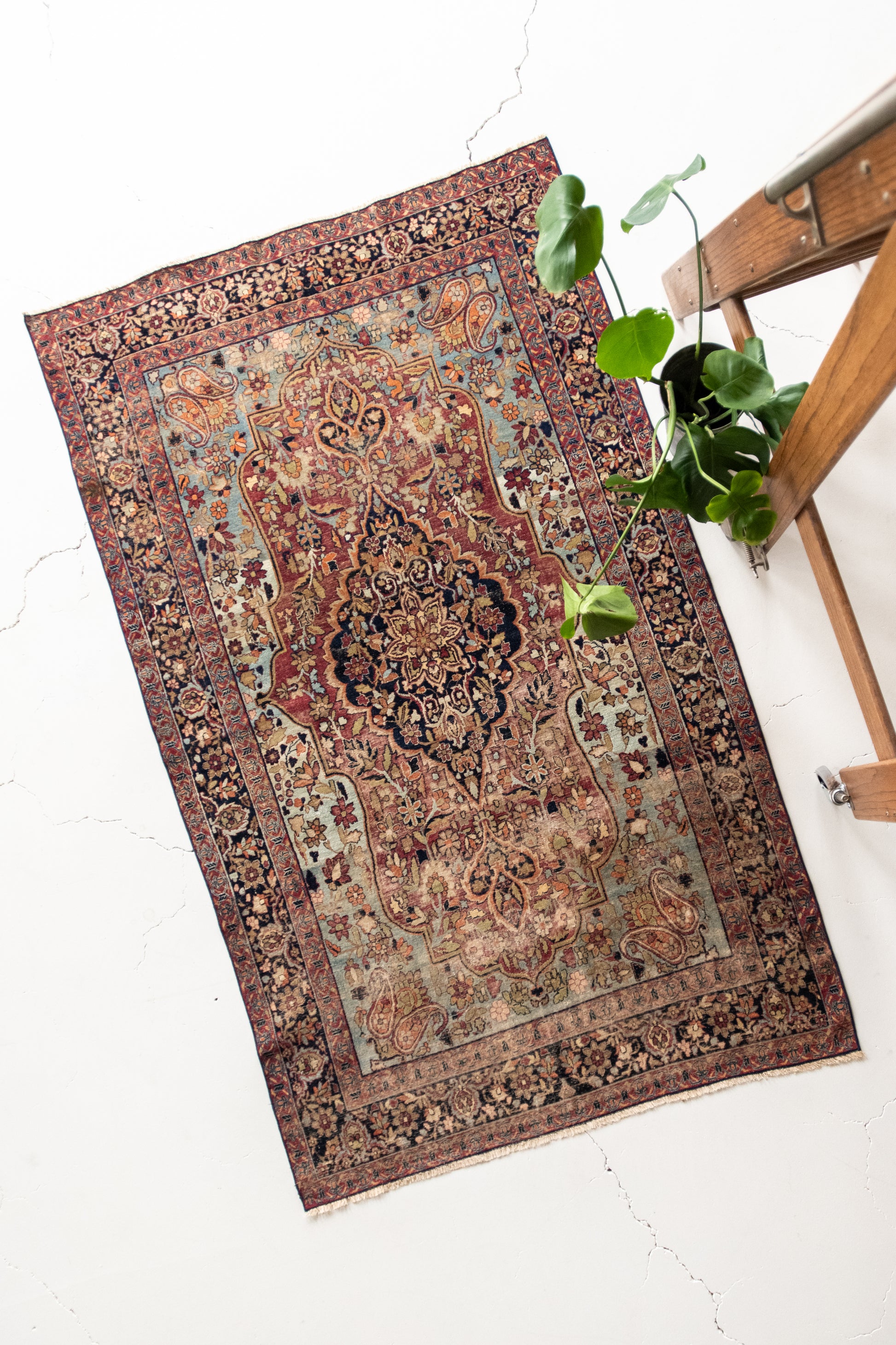 RESERVED | Damaris 4'1 x 6'9