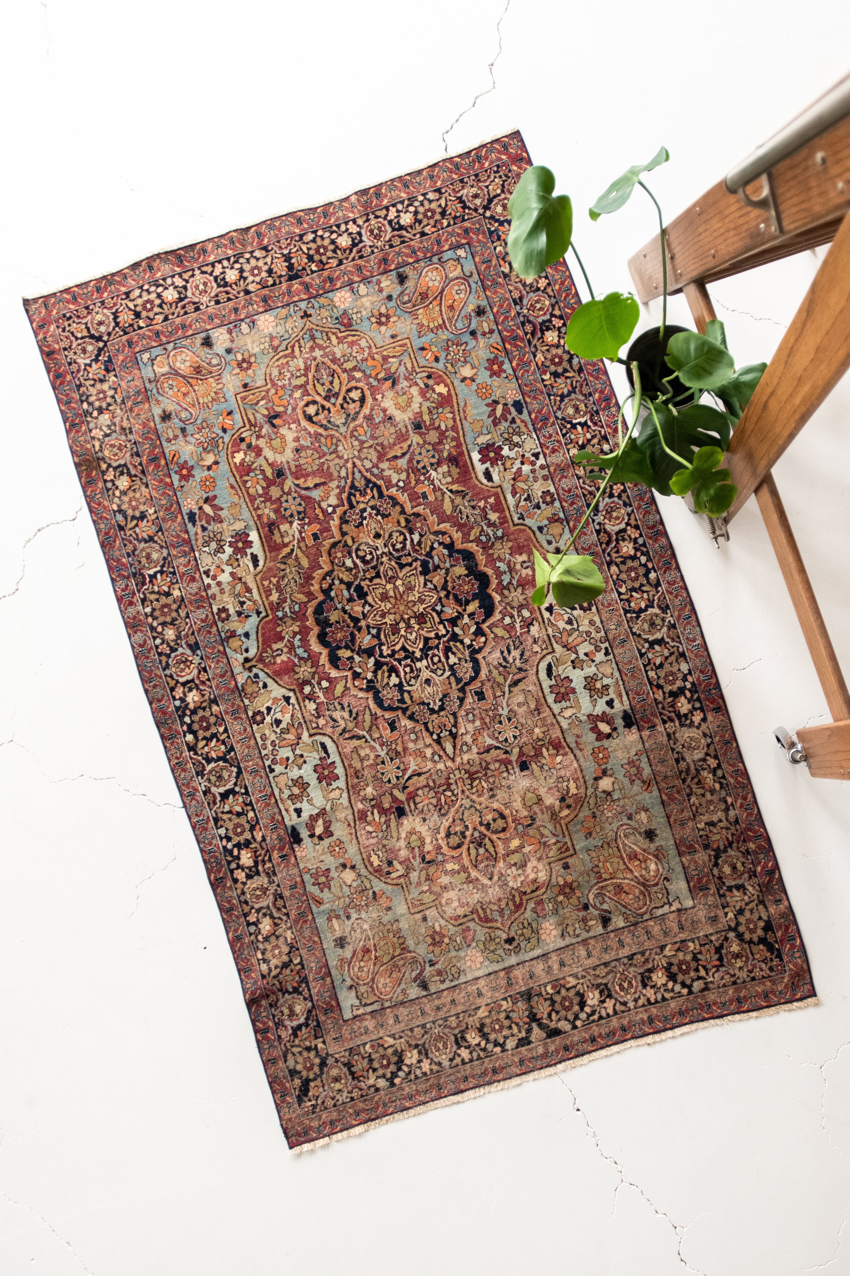 RESERVED | Damaris 4'1 x 6'9