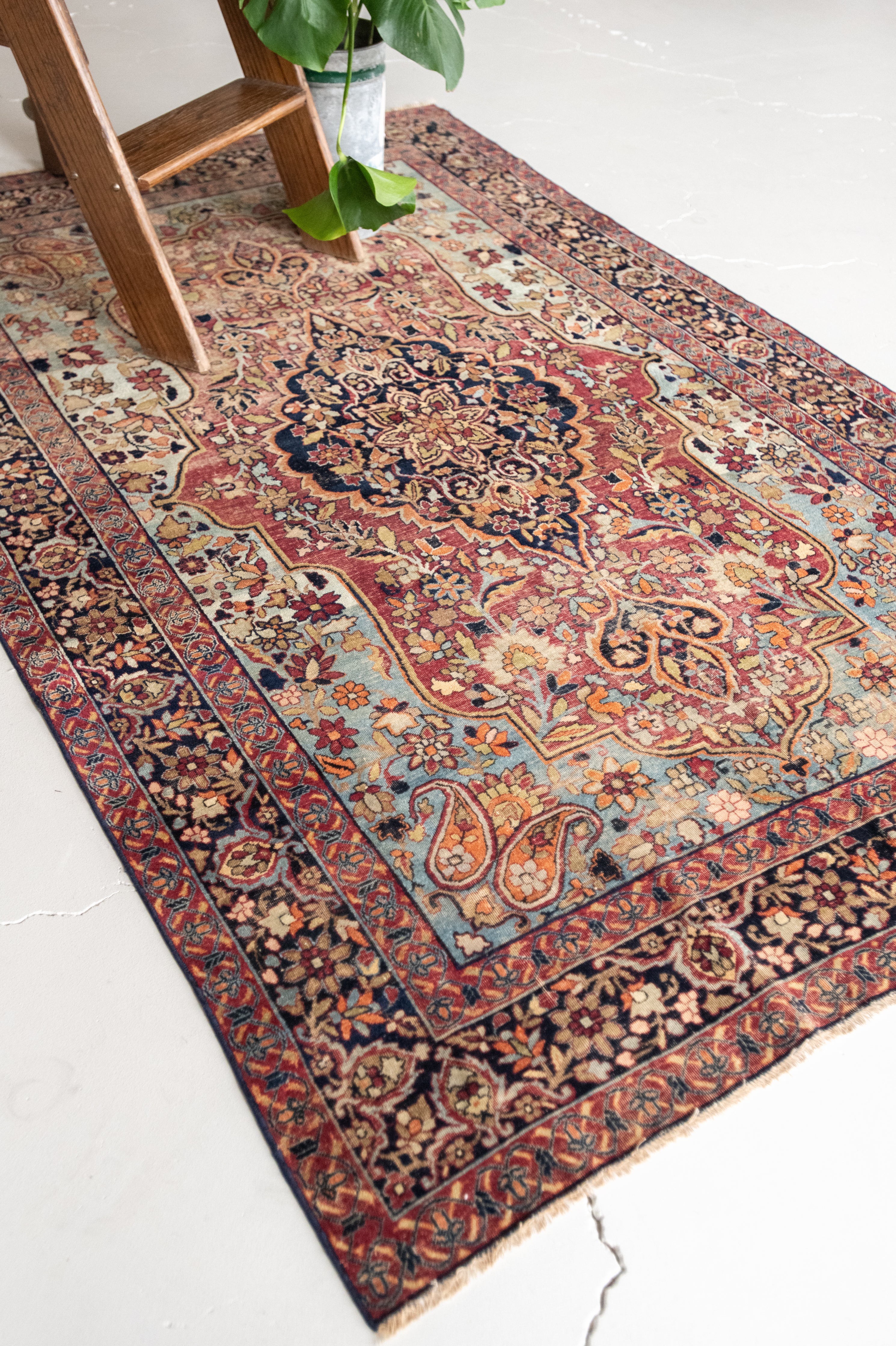 RESERVED | Damaris 4'1 x 6'9