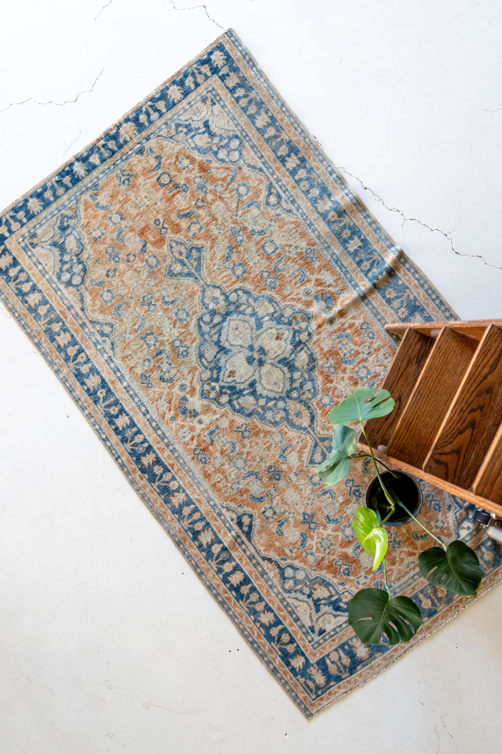 Averie 4'3 x 6'1