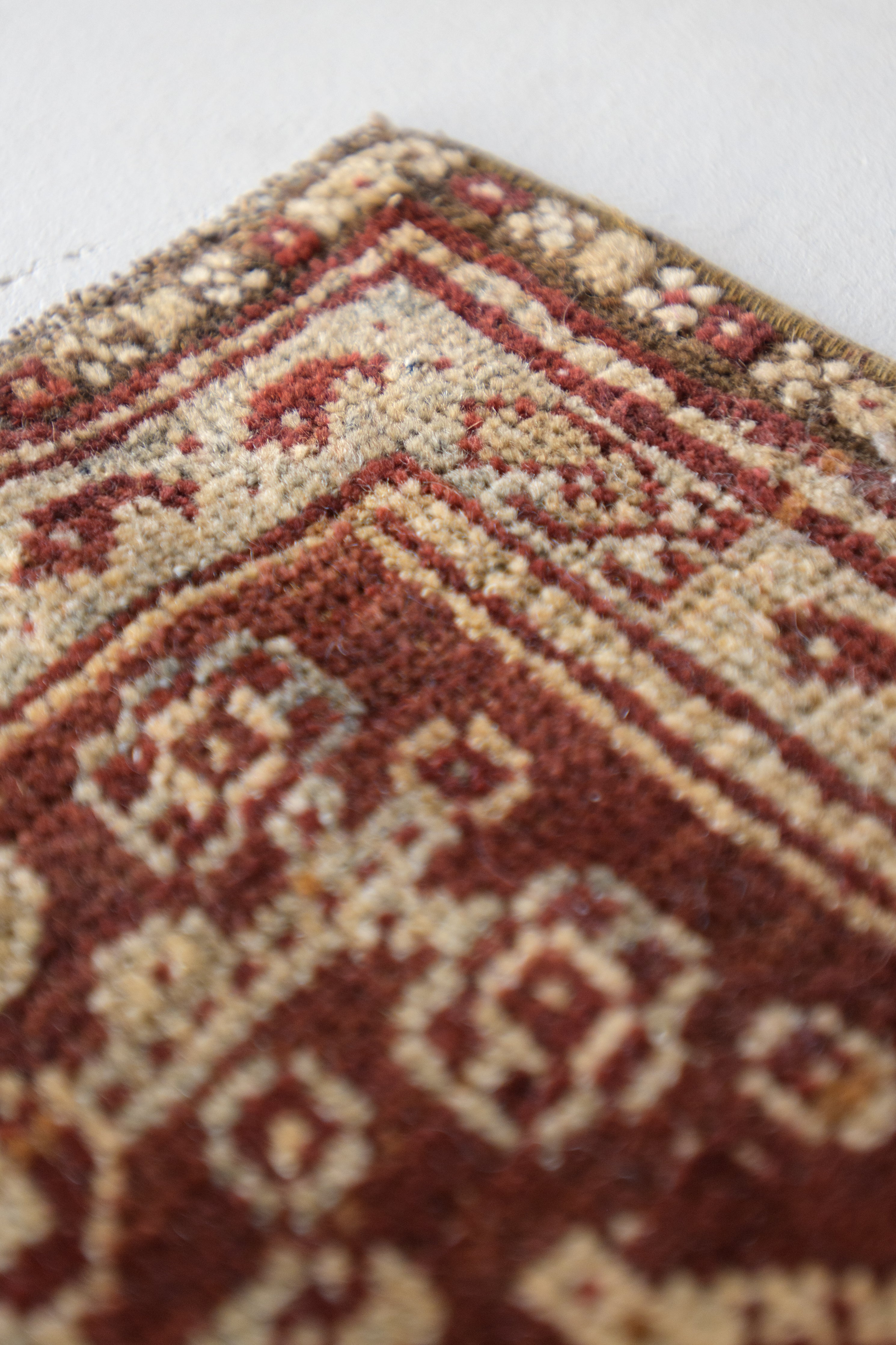 Evelinia 5'5 x 8'5