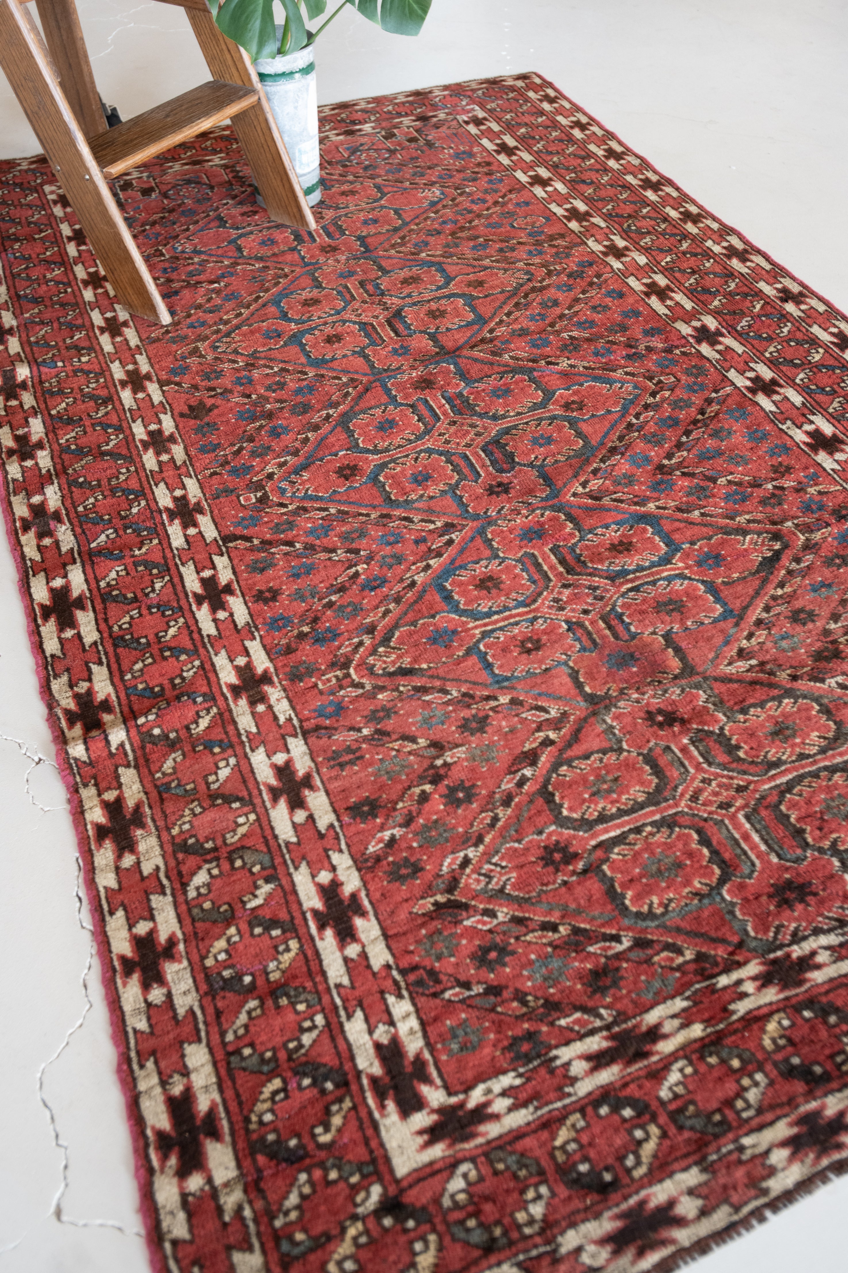 Tansy 4'8 x 8'3