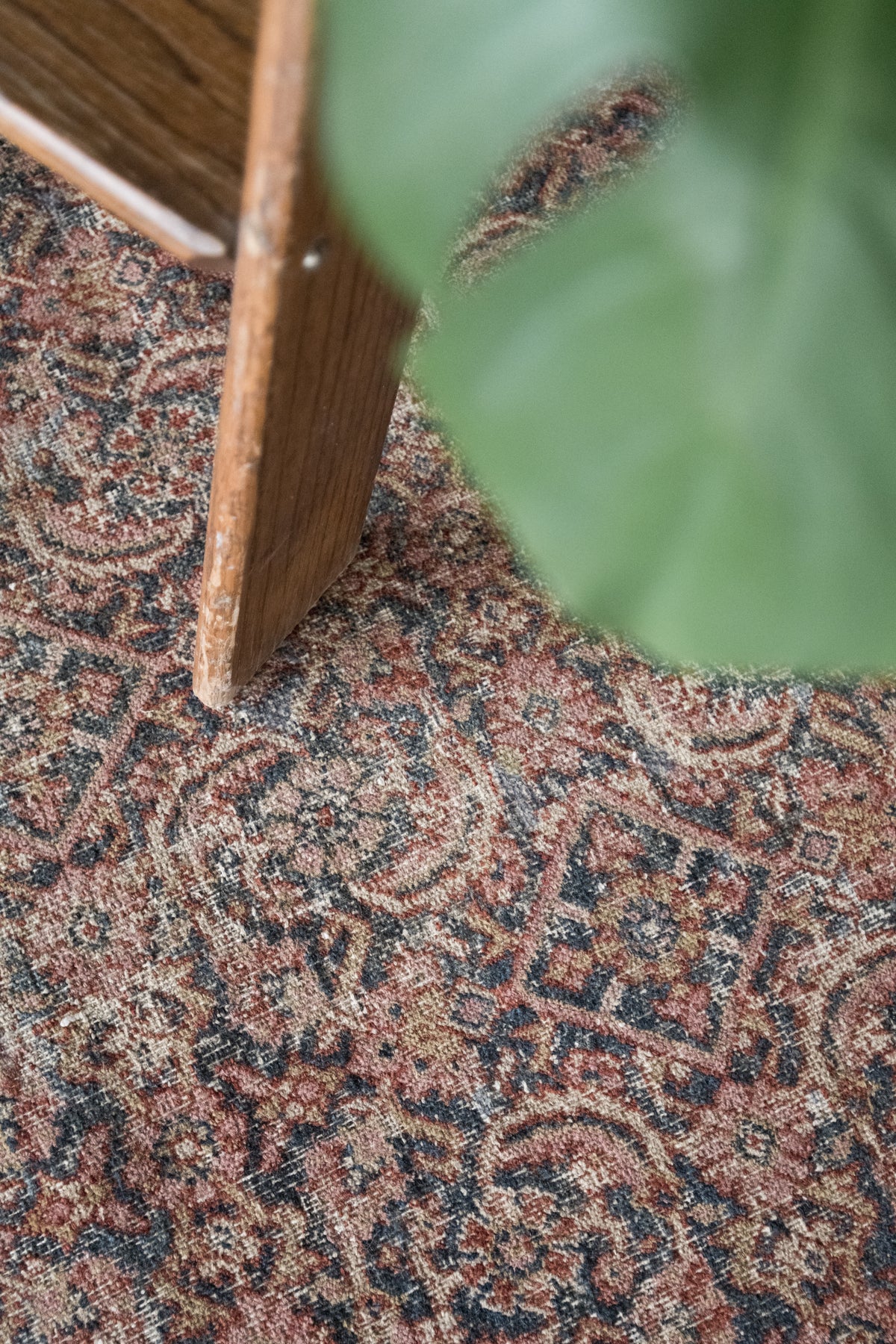 Elizabethan Rug Elizabeth 6' x 10'10 – Six Vintage Rugs
