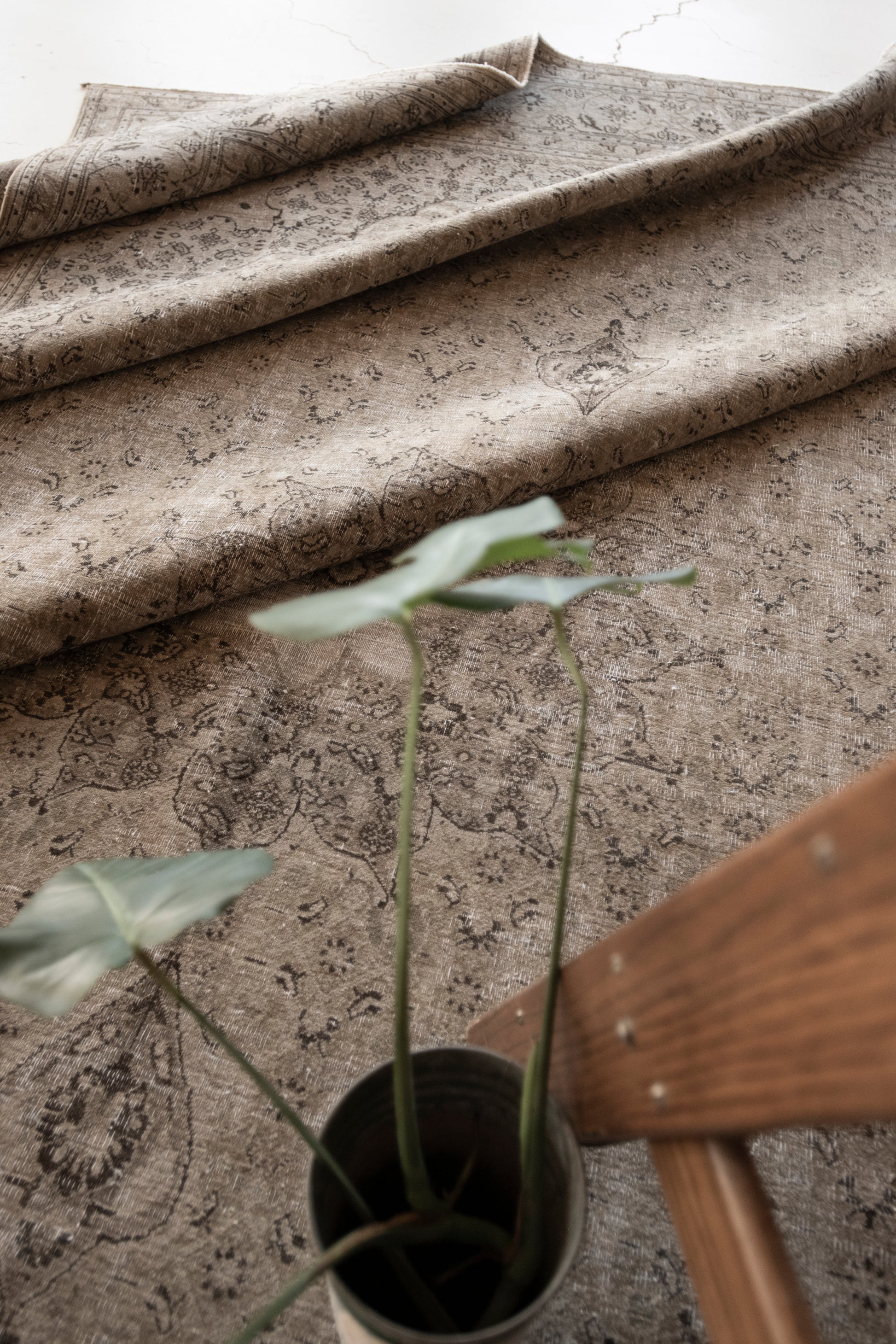 Ivy 9'10 x 13'6