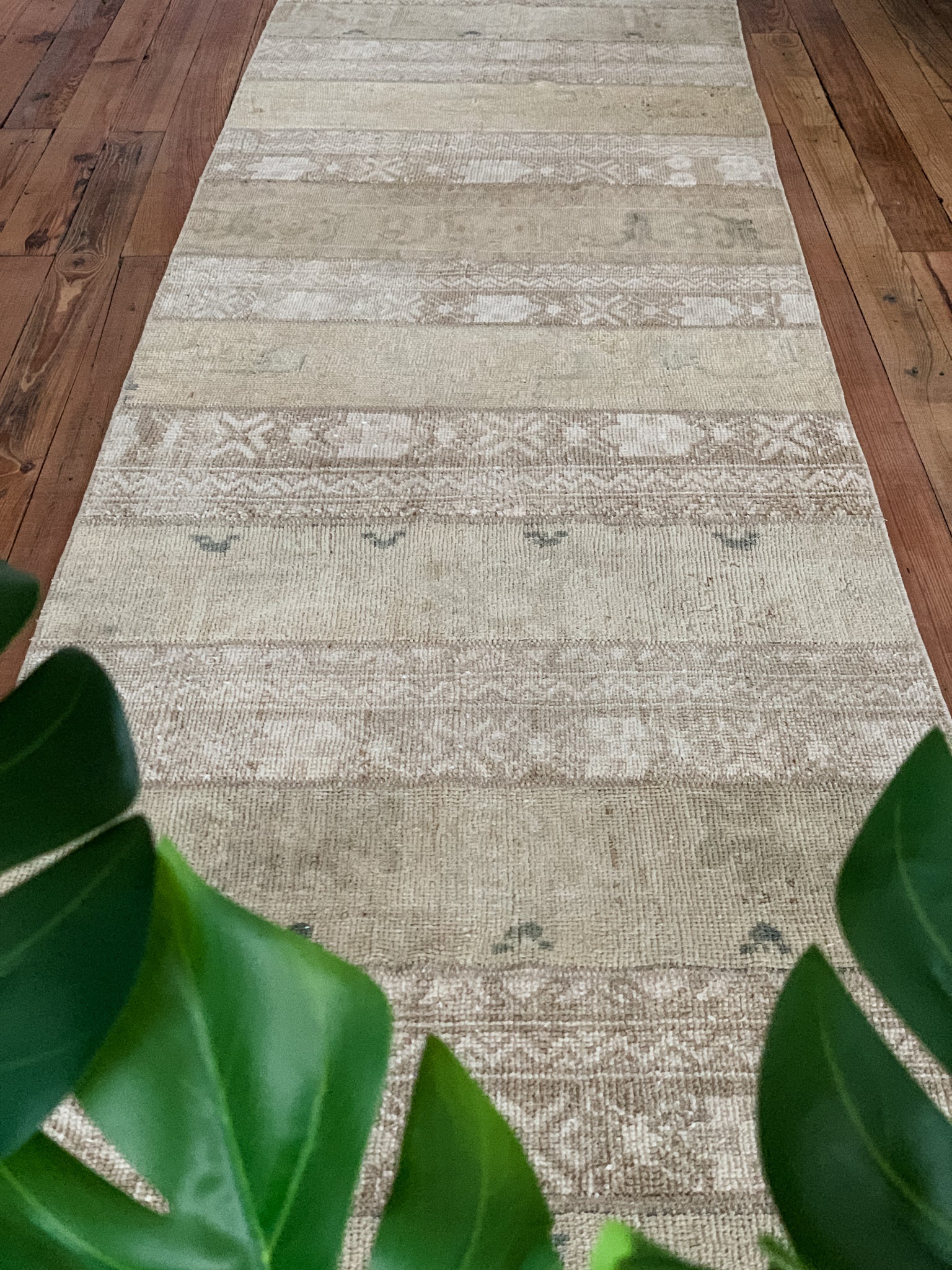 Taskie 2'8 x 23'2 - 23'6