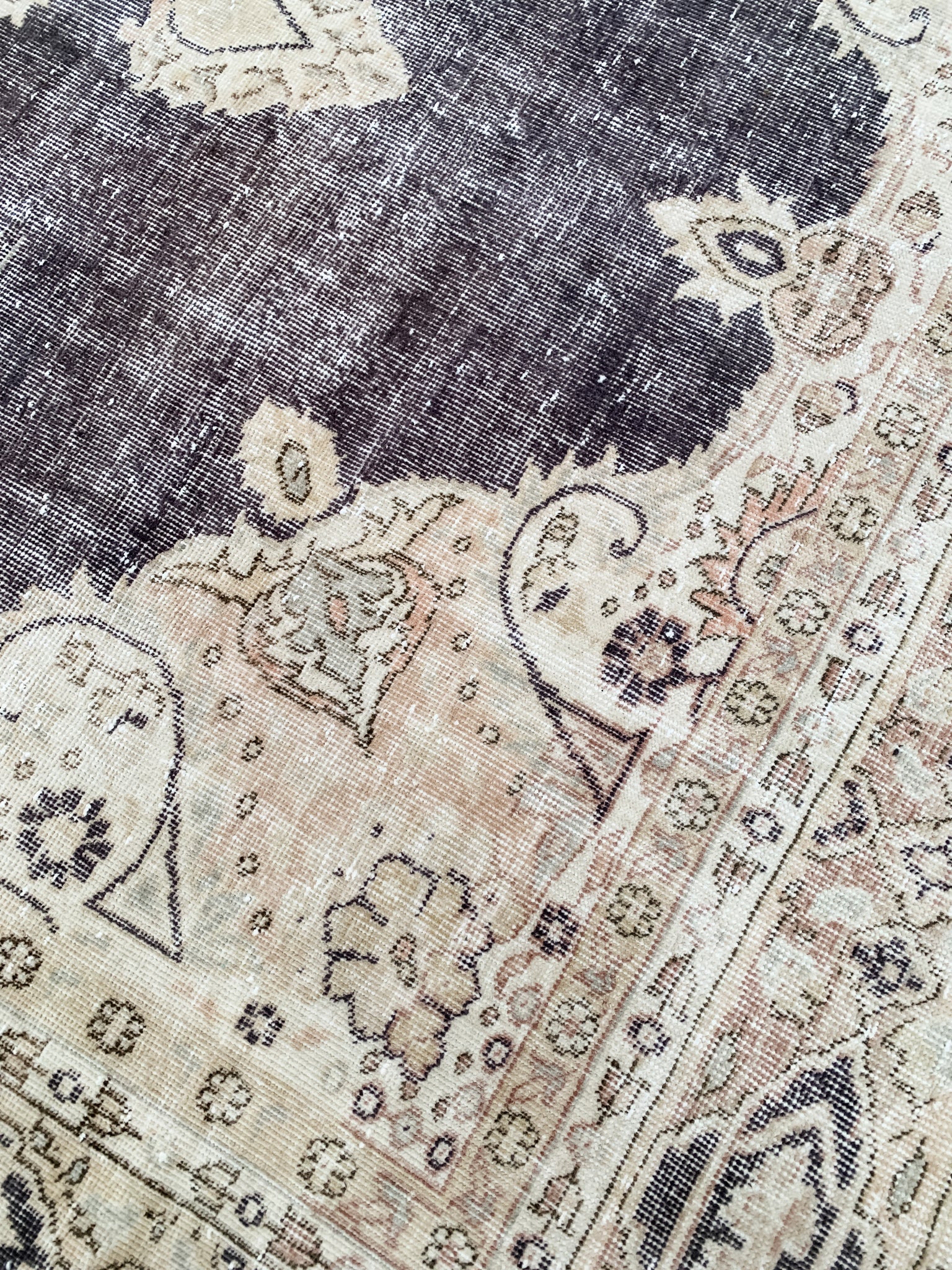 Amy 6'5 x 11'5