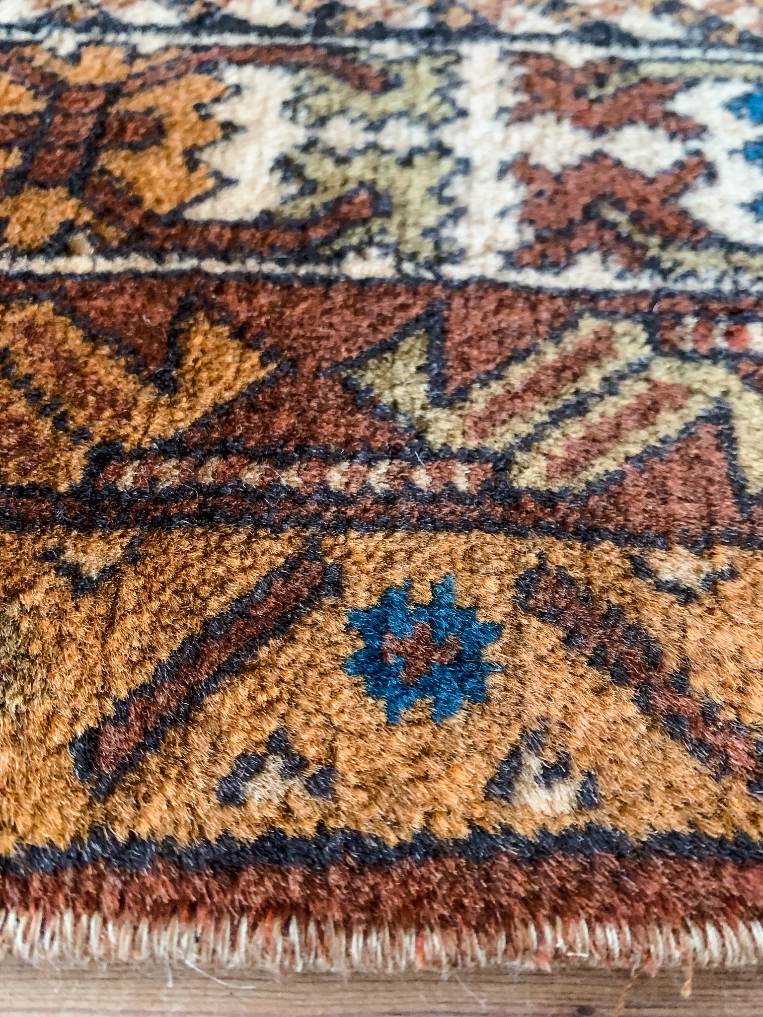Indigo 2'10 x 11'7