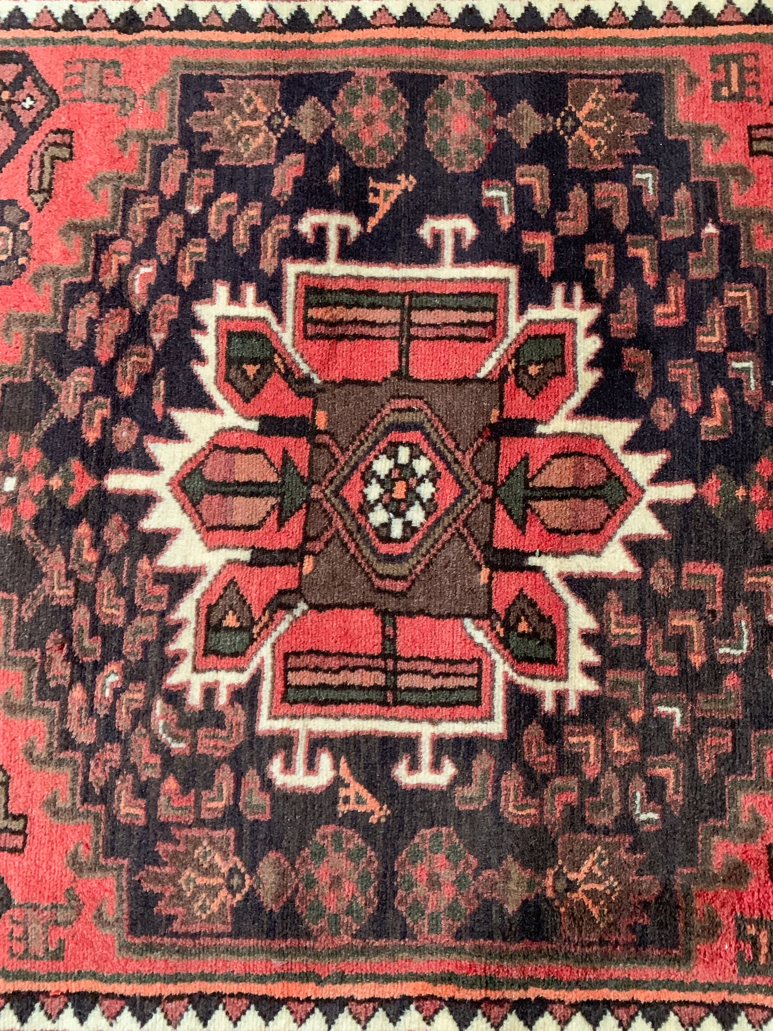 Coral 4'1 x 6'10