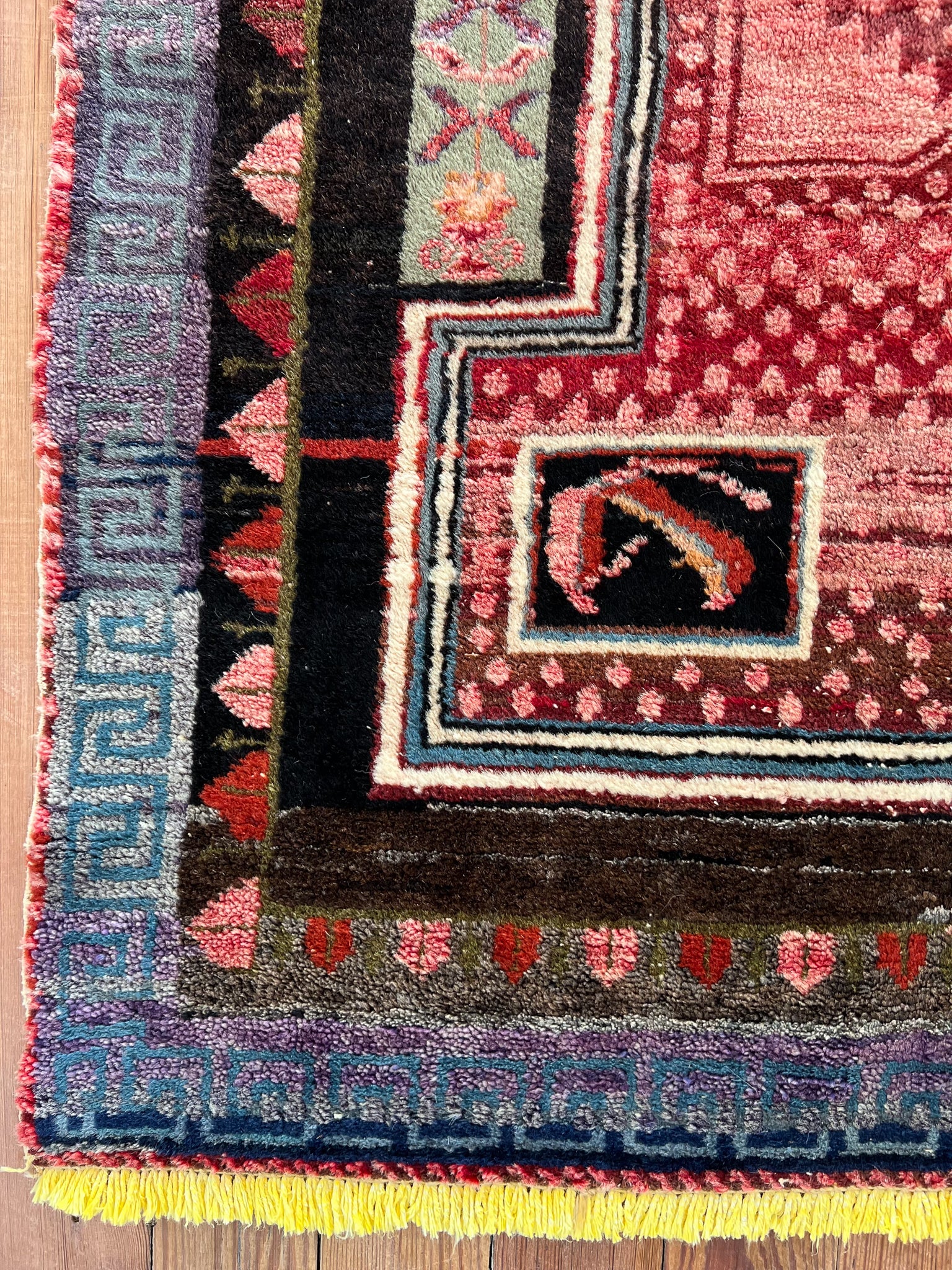Safron 4'8 x 6'1